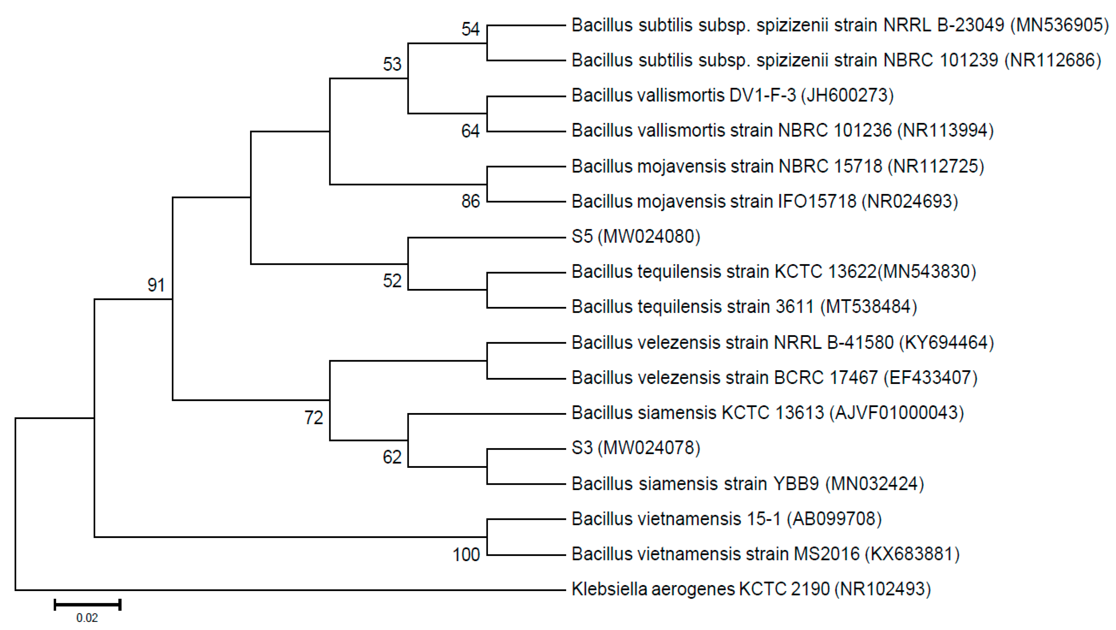 Agronomy 10 01811 g002