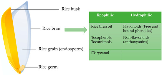 Agronomy 10 01817 g003 550