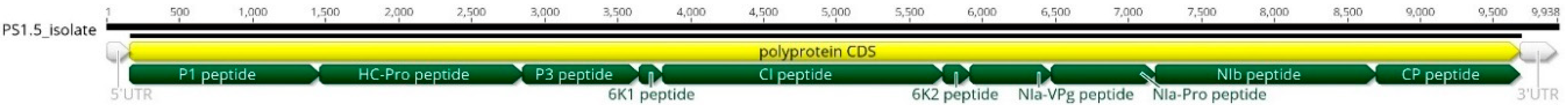 Agronomy 10 01821 g003