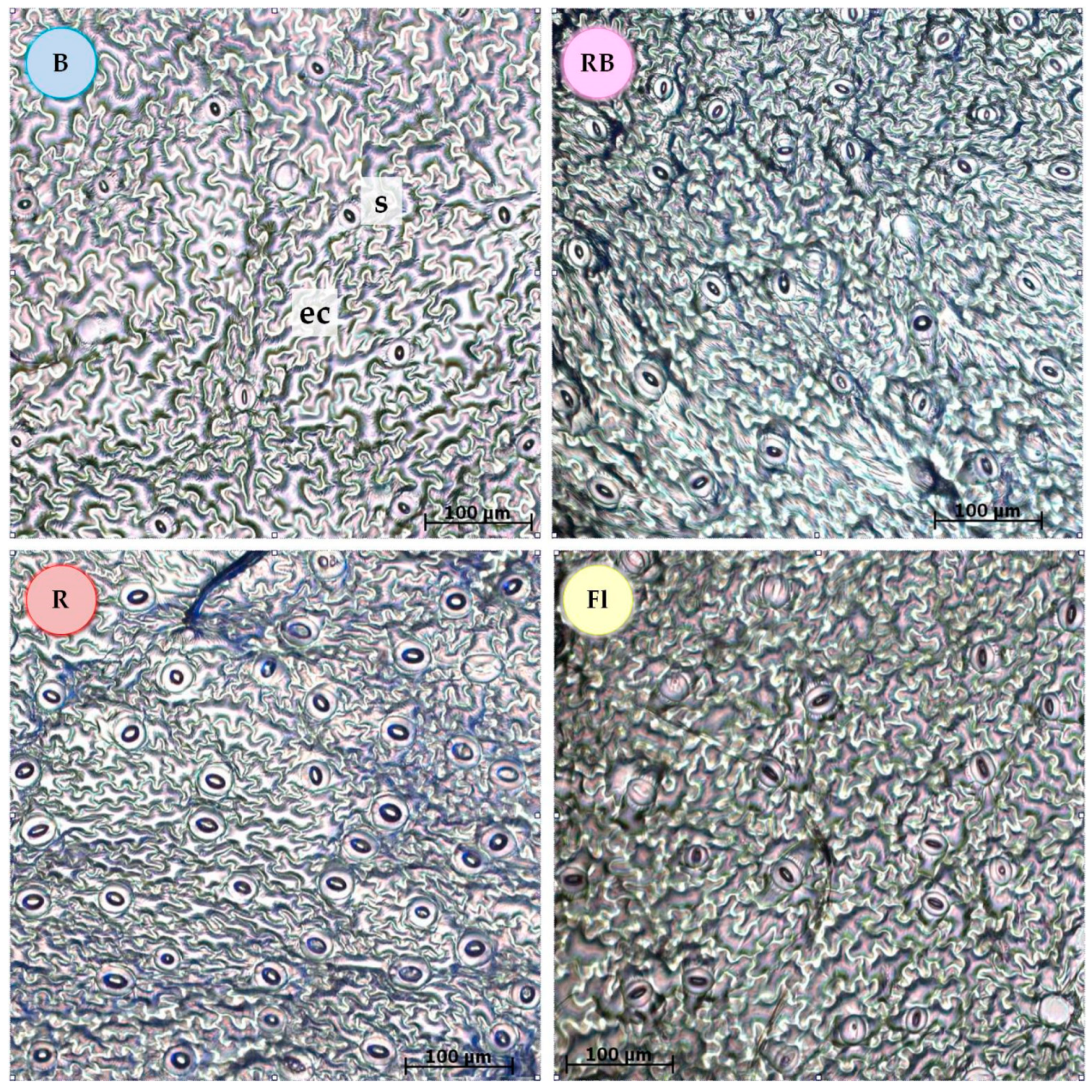 Agronomy 10 01832 g002 Agronomy 10 01832 g002