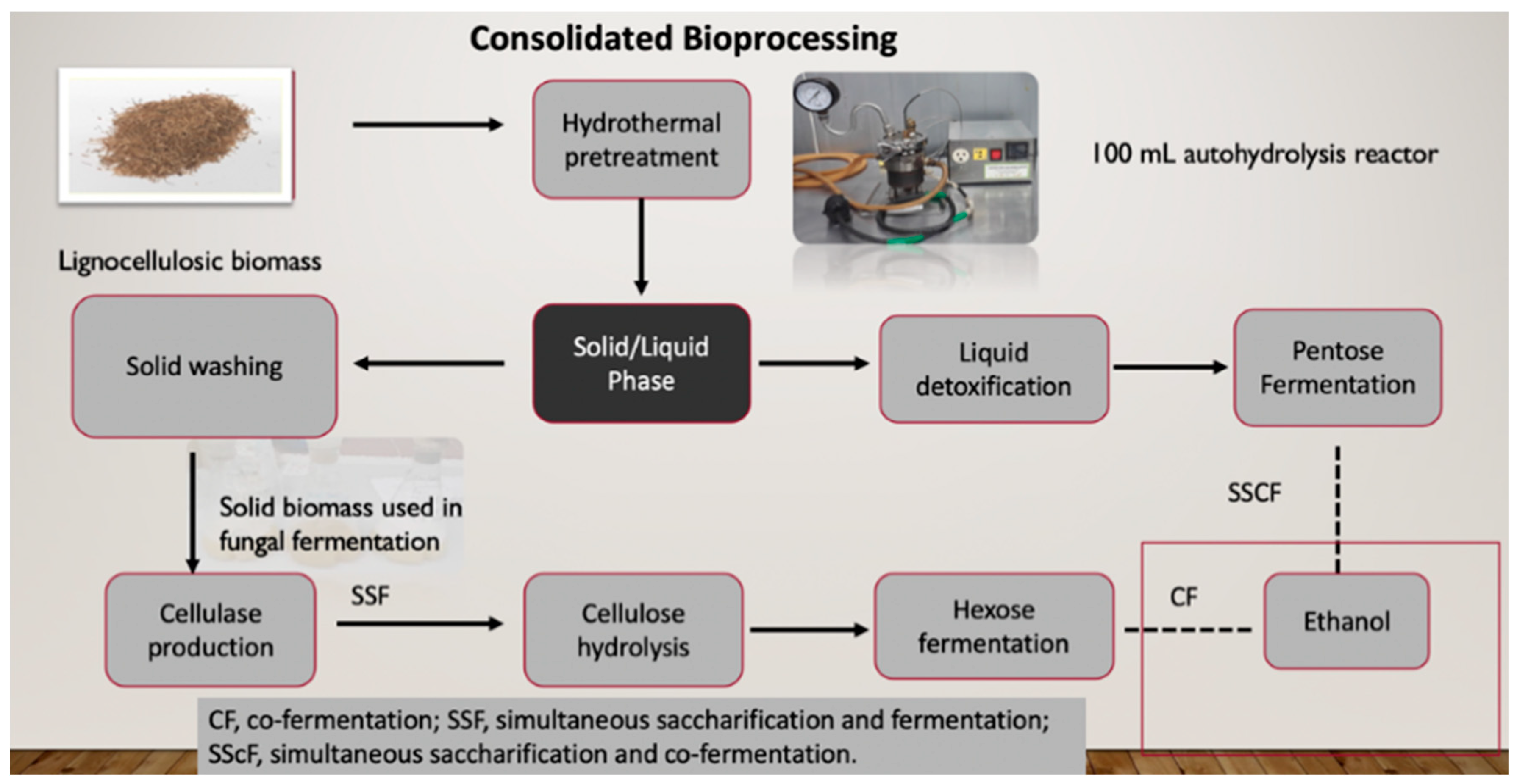 Agronomy 10 01834 g003