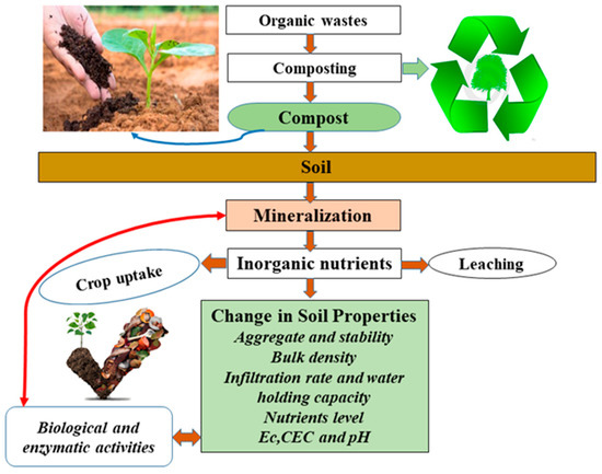 Can organic chemists cut waste by switching to water?