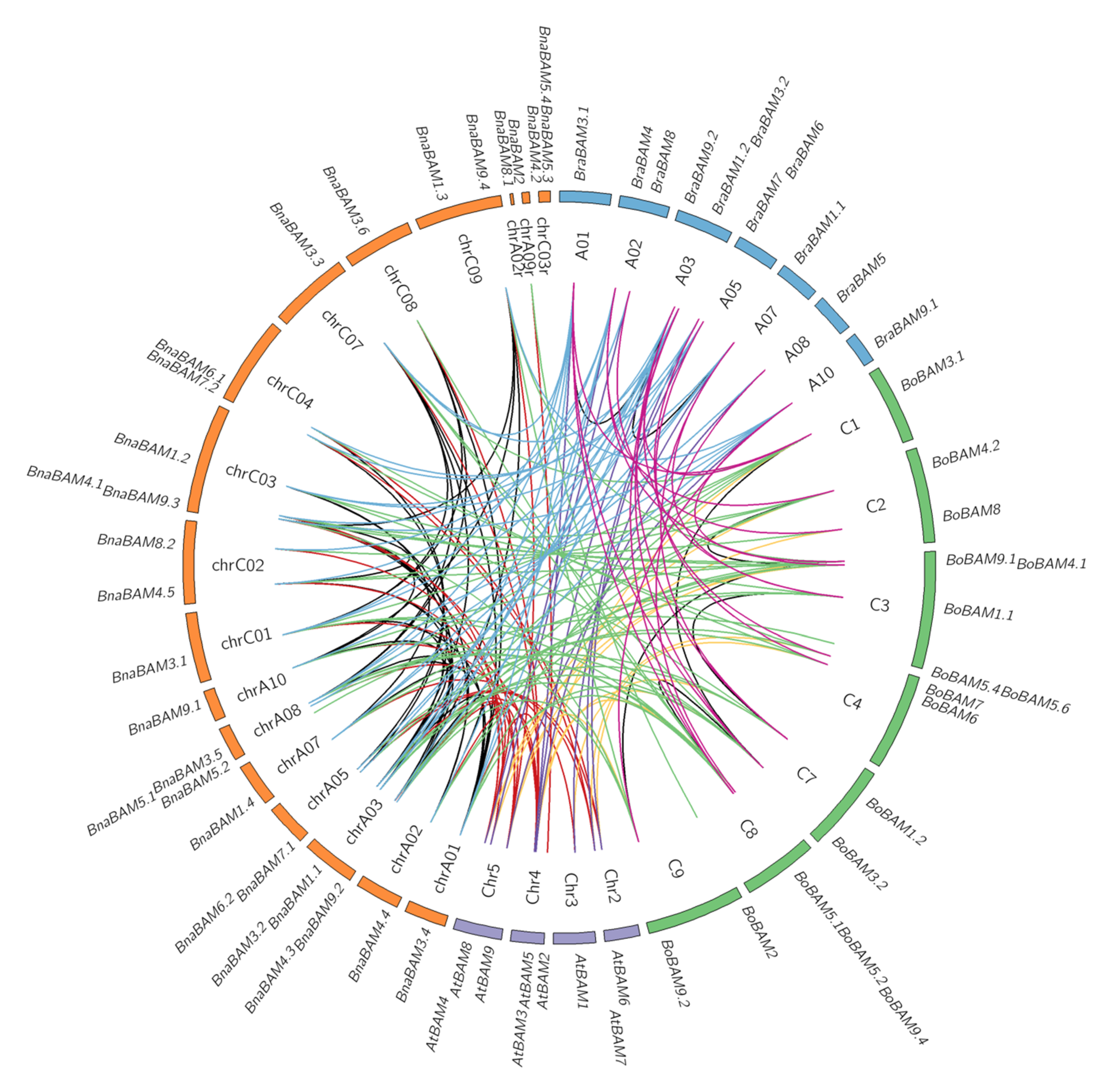Agronomy 10 01855 g005