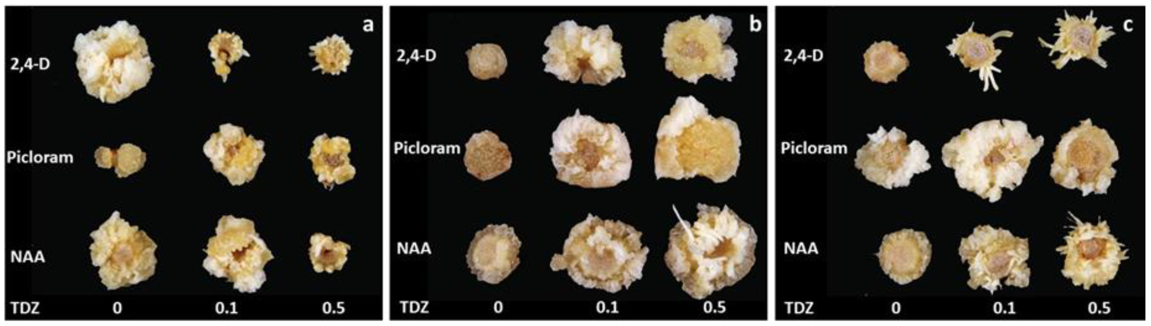 Agronomy 10 01857 g001 Agronomy 10 01857 g001