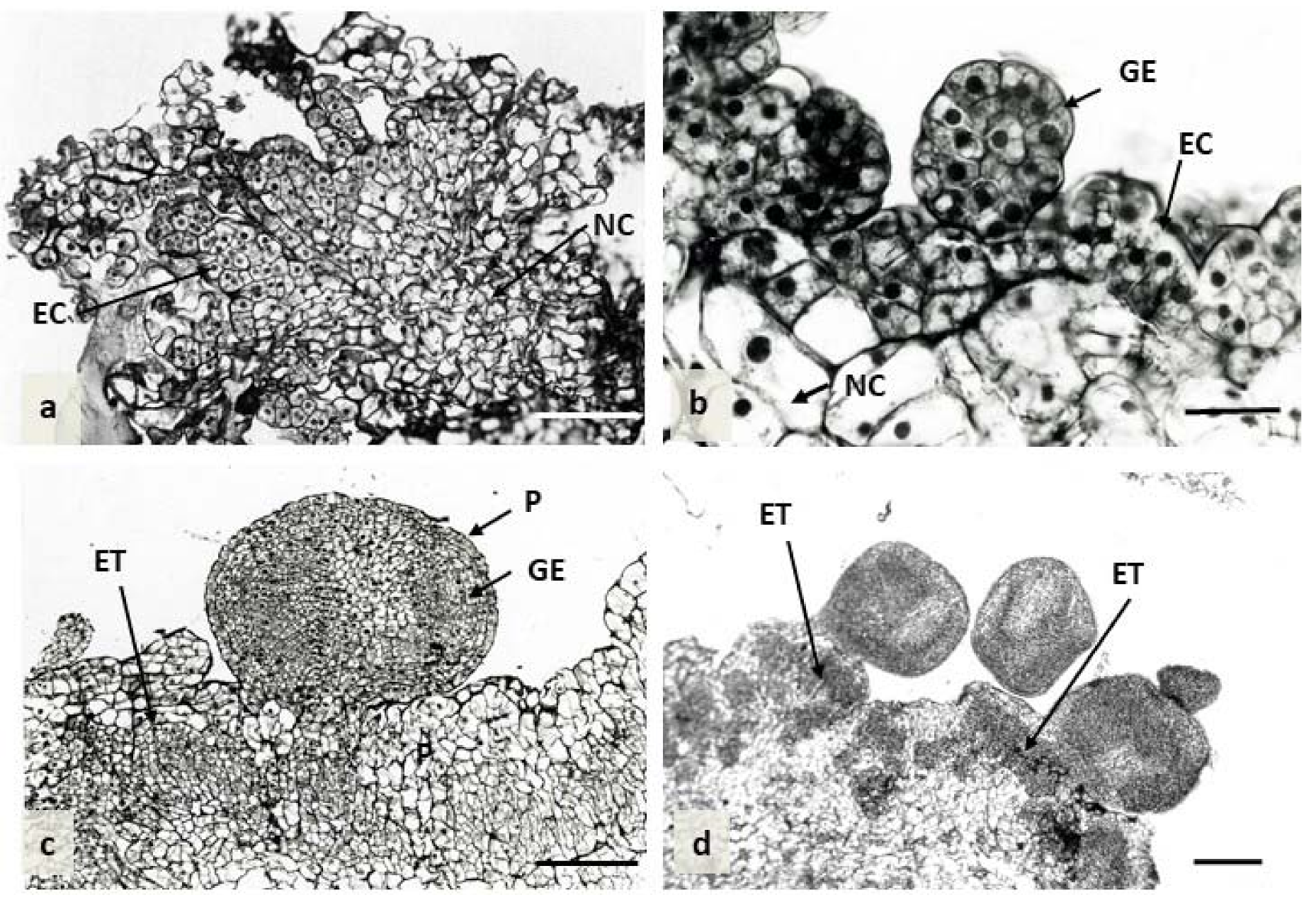 Agronomy 10 01857 g008 Agronomy 10 01857 g008