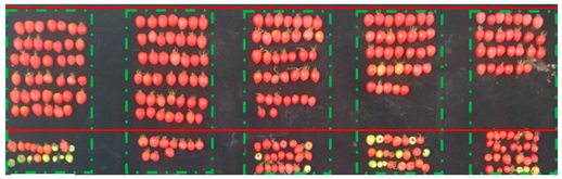Agronomy 10 01863 i001