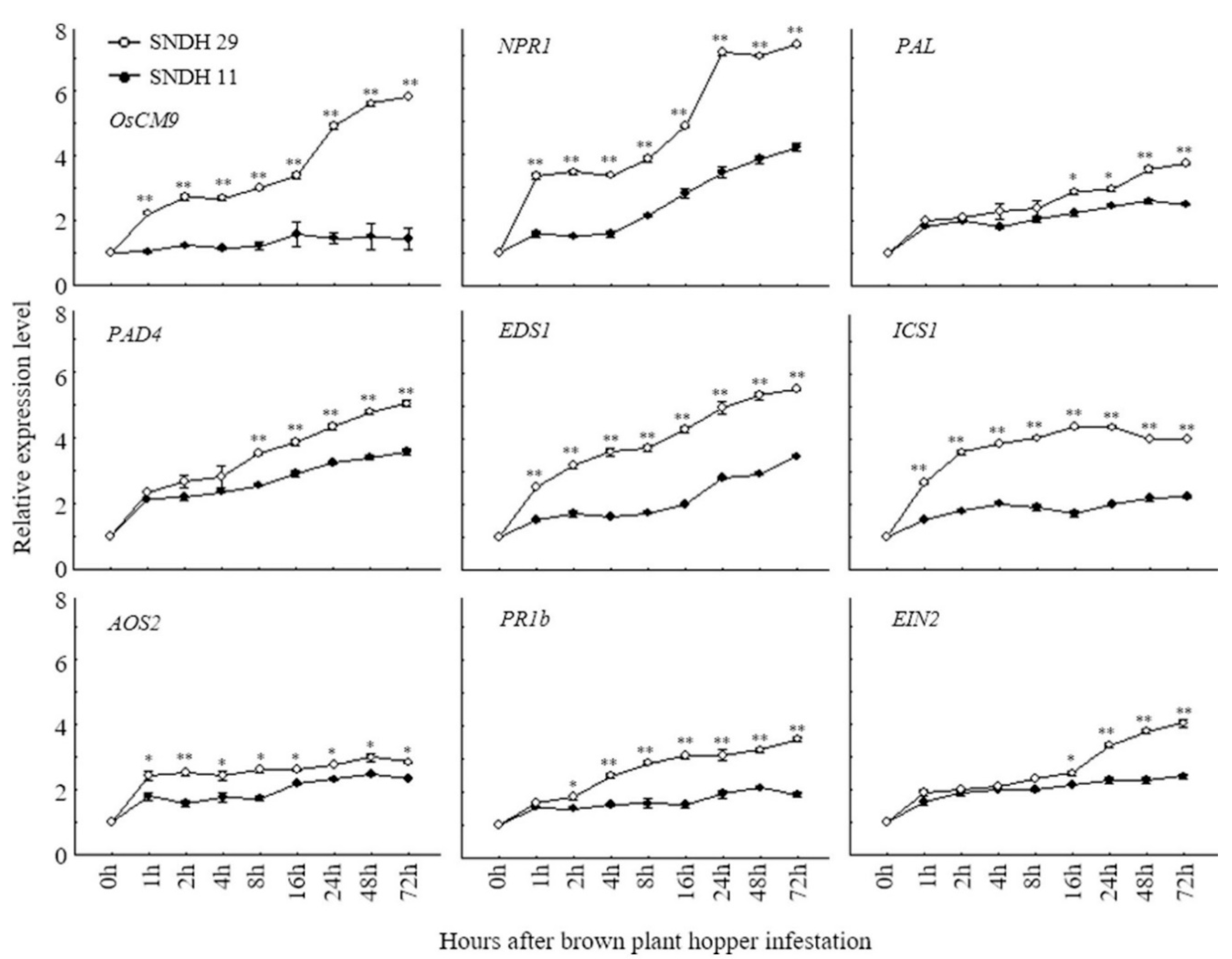 Agronomy 10 01865 g005 Agronomy 10 01865 g005