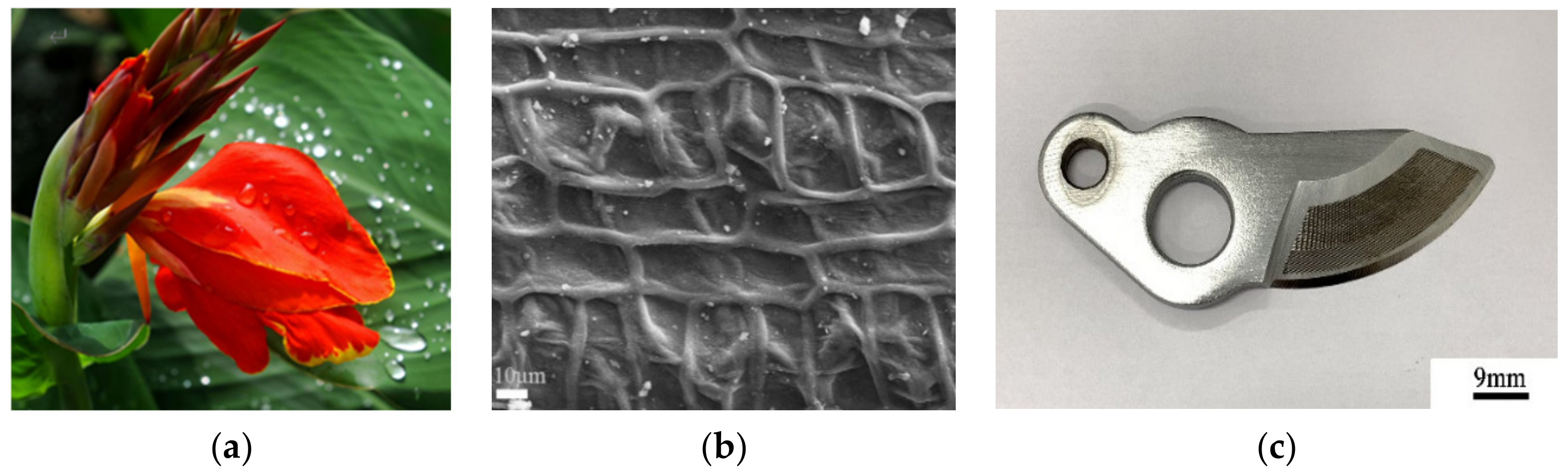 Agronomy 10 01866 g009 Agronomy 10 01866 g009