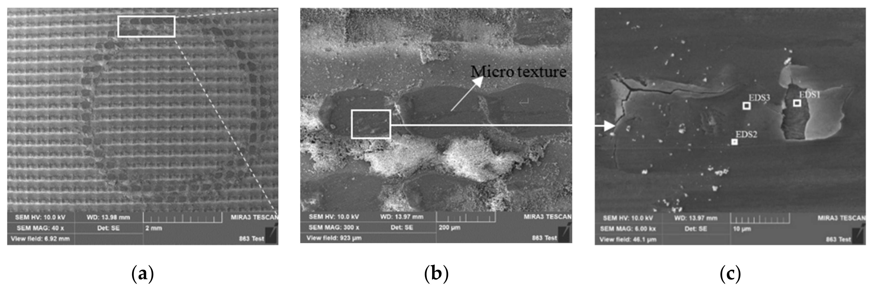 Agronomy 10 01866 g021 Agronomy 10 01866 g021