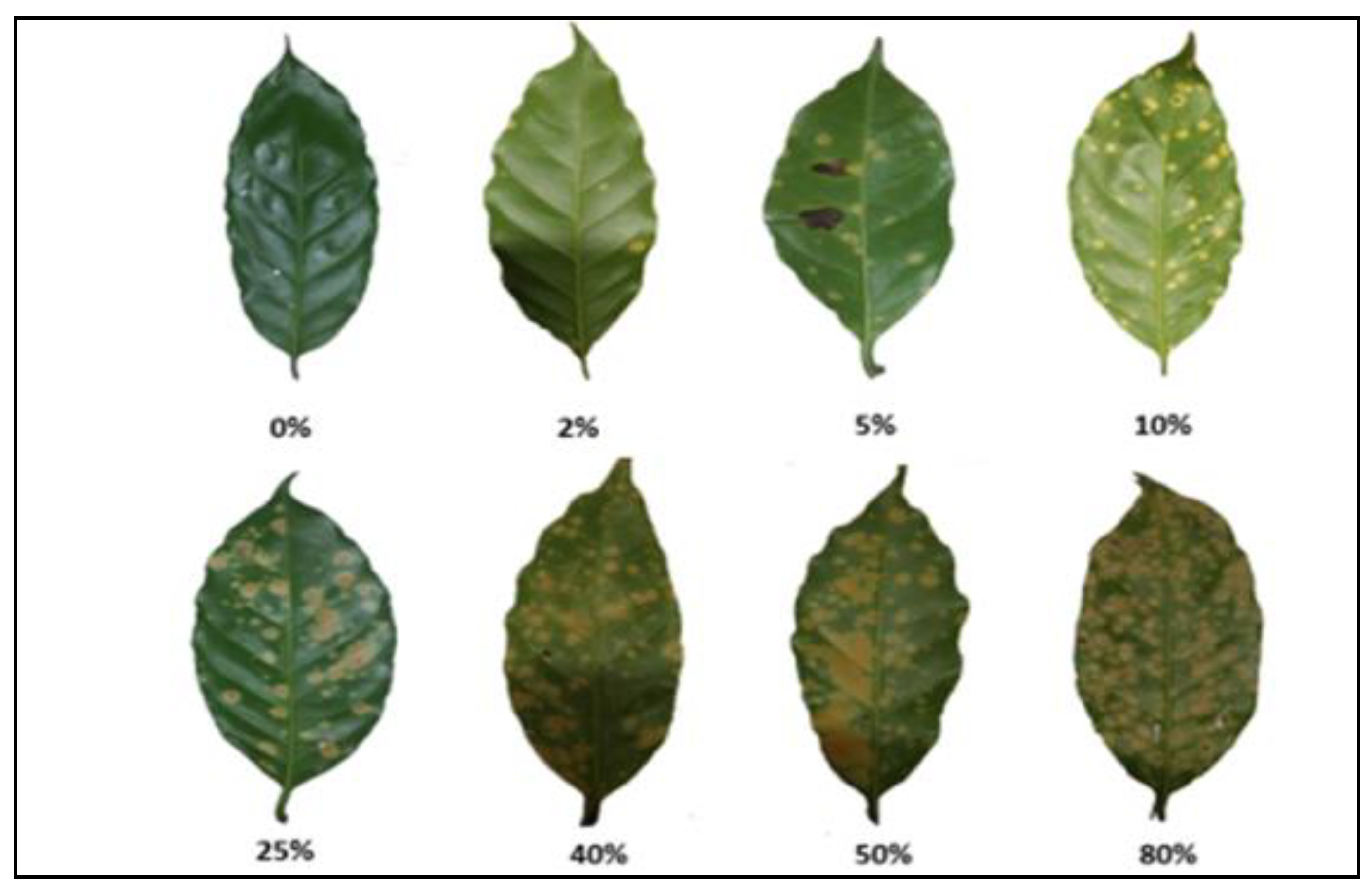 Agronomy 10 01867 g001