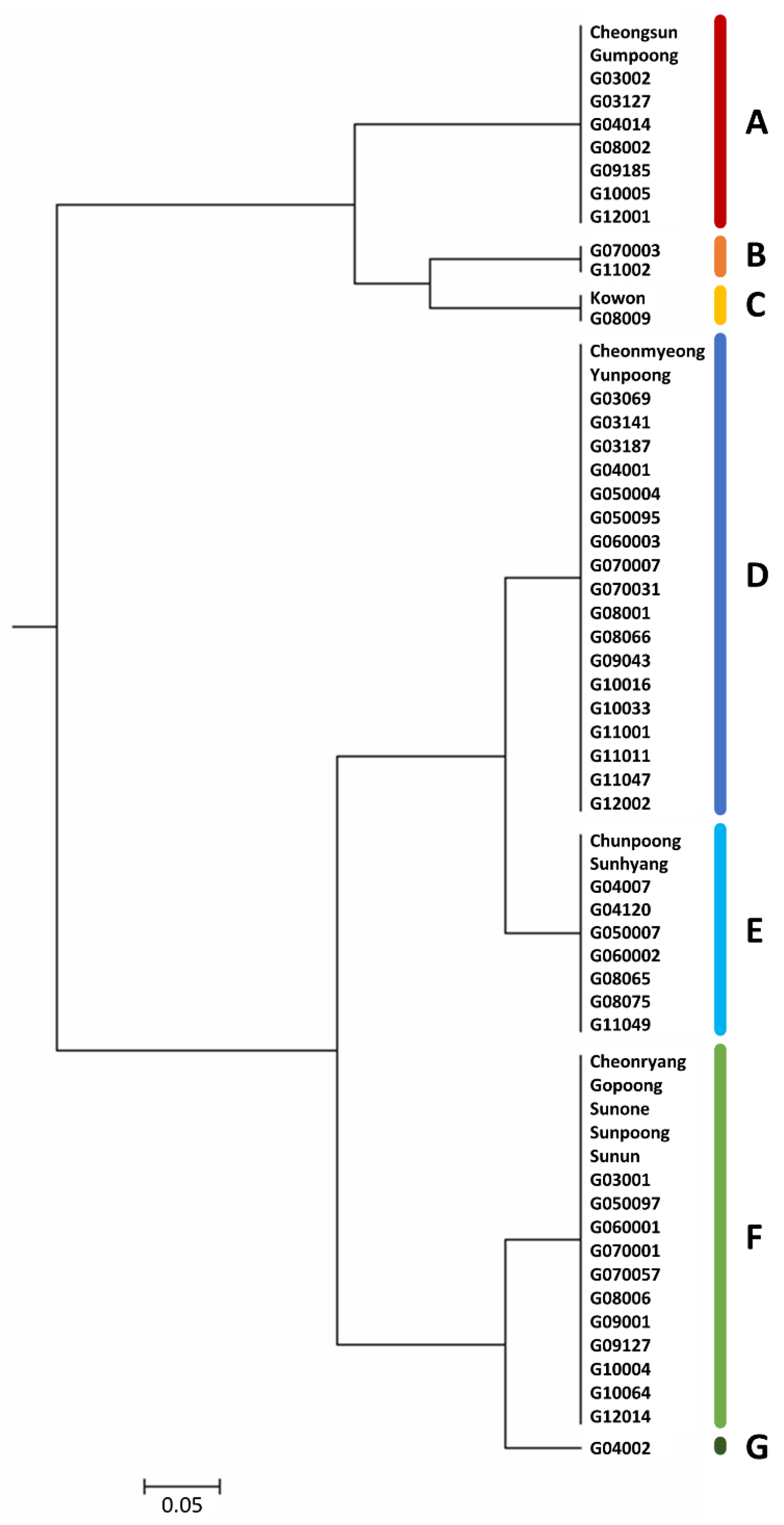 Agronomy 10 01868 g004