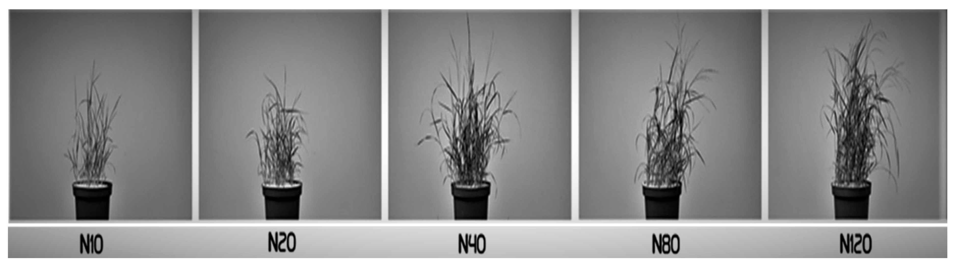 Agronomy 10 01870 g002 Agronomy 10 01870 g002