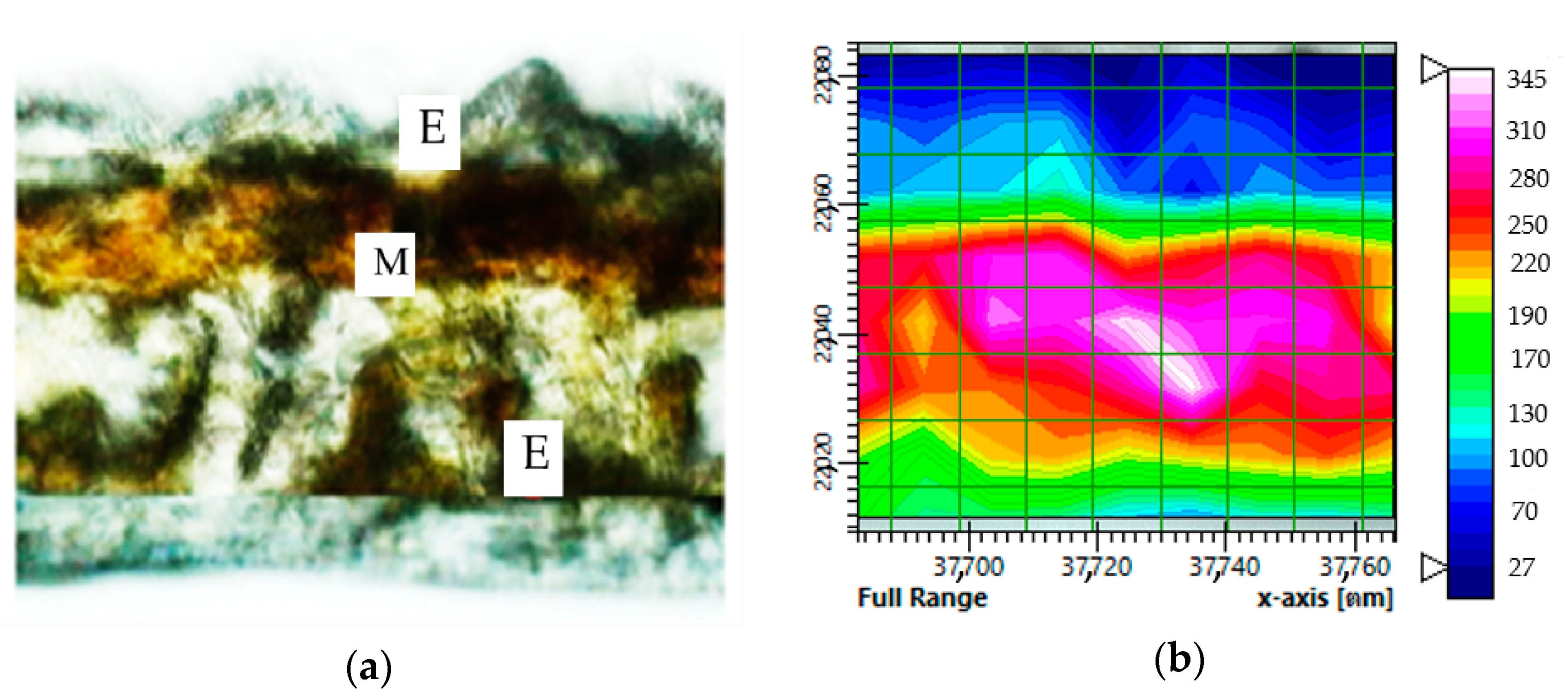Agronomy 10 01871 g001