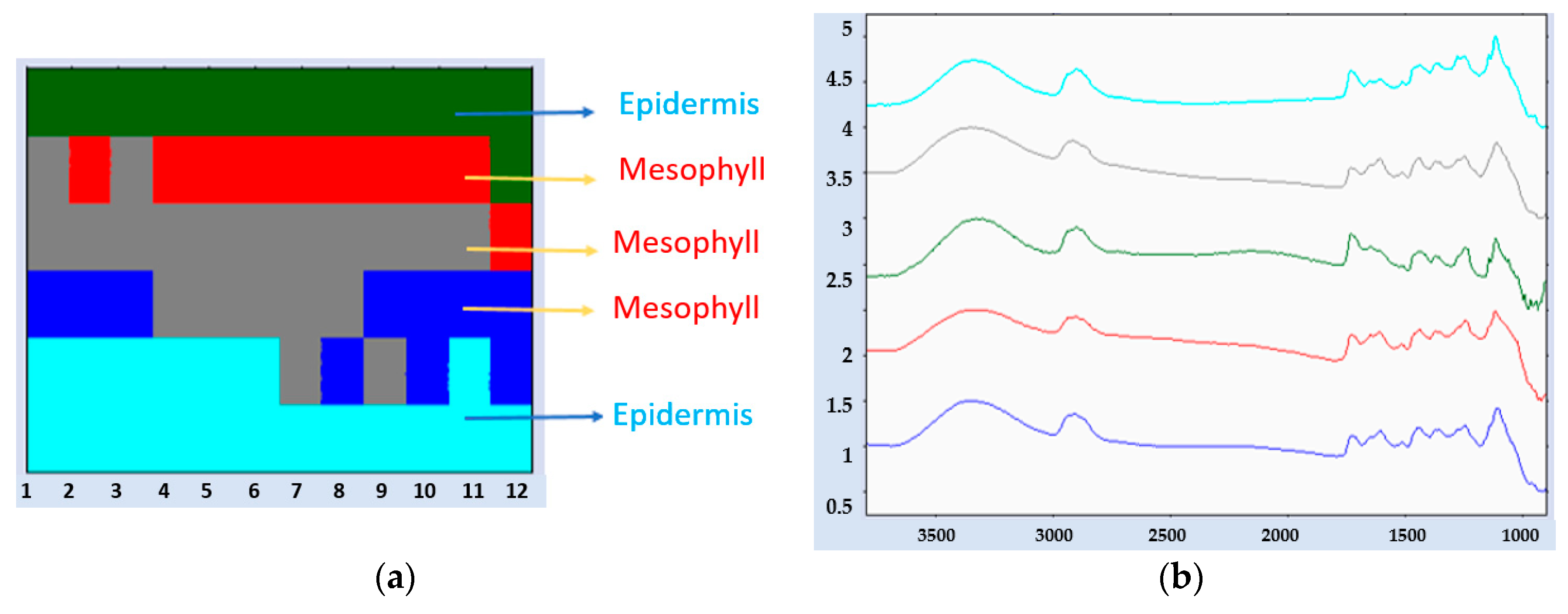 Agronomy 10 01871 g002