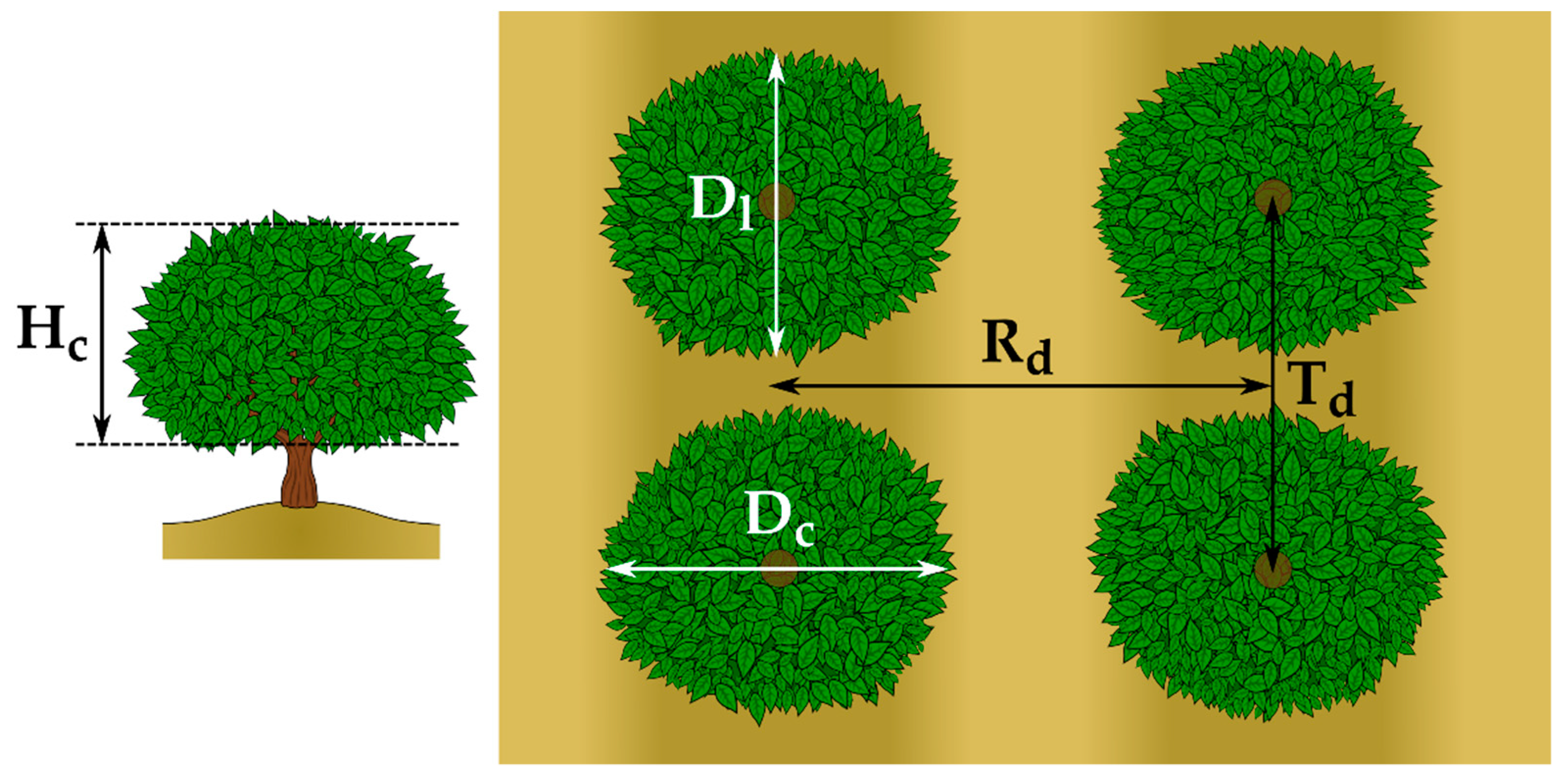 Agronomy 10 01887 g001