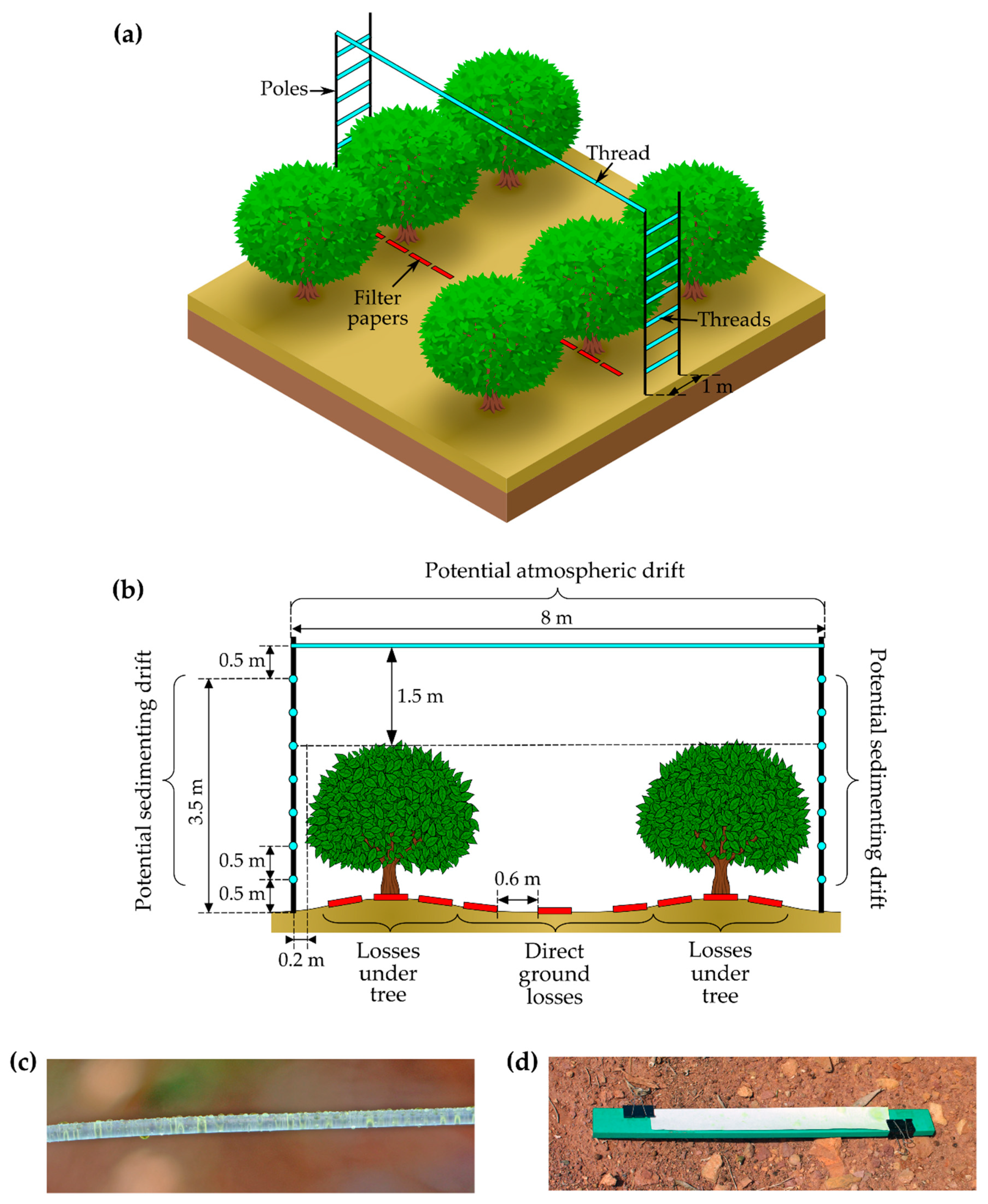 Agronomy 10 01887 g007