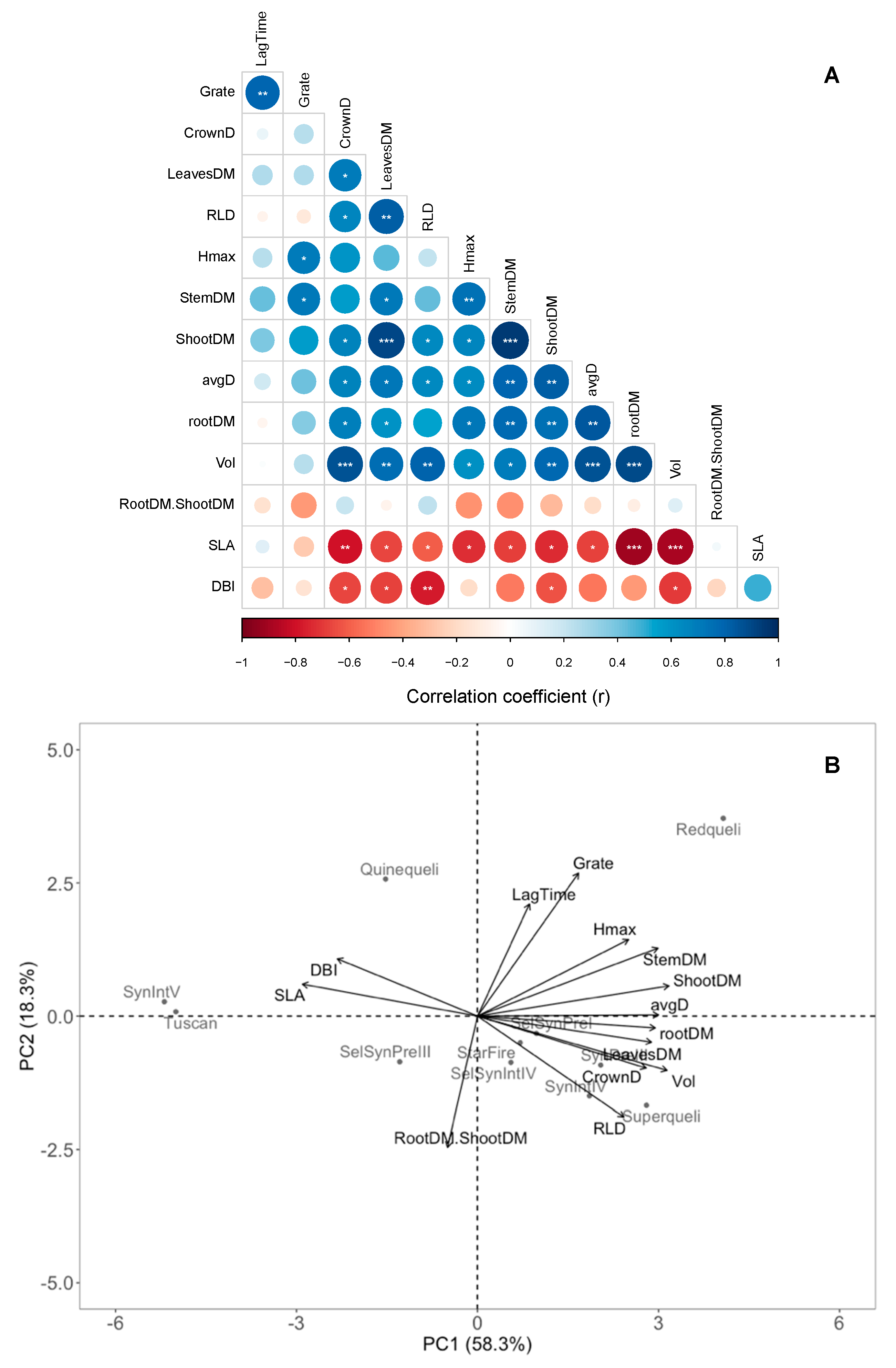 Agronomy Free Full Text Changes In Root Architecture And Aboveground Traits Of Red Clover Cultivars Driven By Breeding To Improve Persistence Html Agronomy Free Full Text Changes In Root Architecture And Aboveground Traits Of Red Clover Cultivars Driven By Breeding To Improve Persistence Html