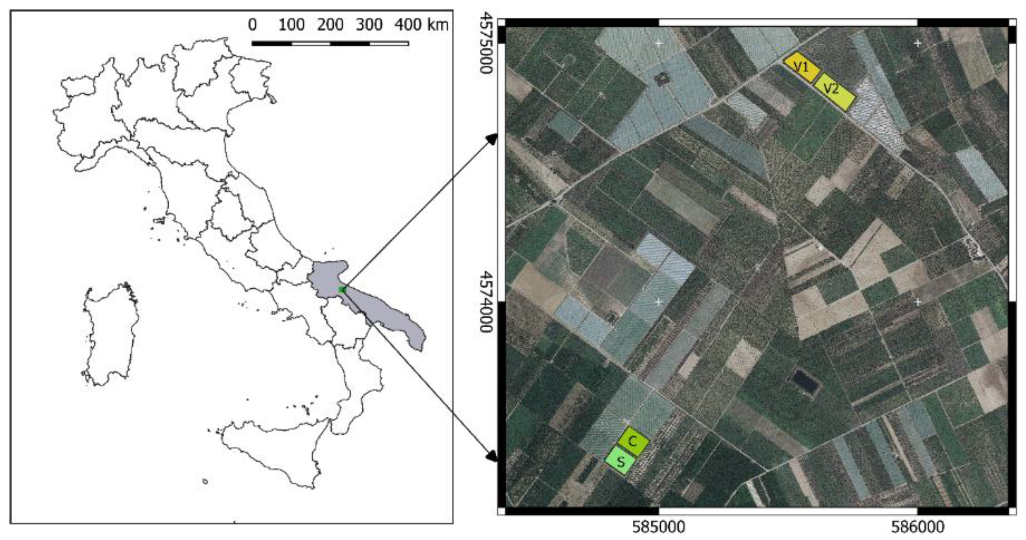 Agronomy 10 01909 g001