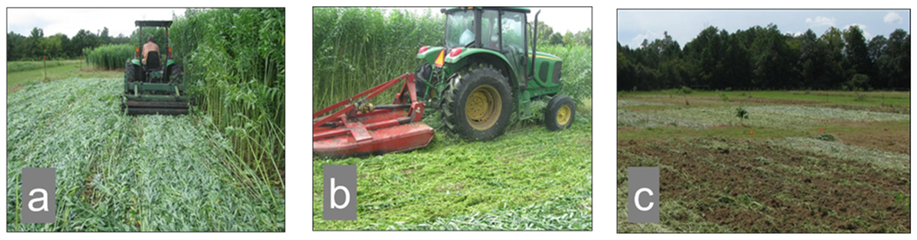 Agronomy 10 01913 g003