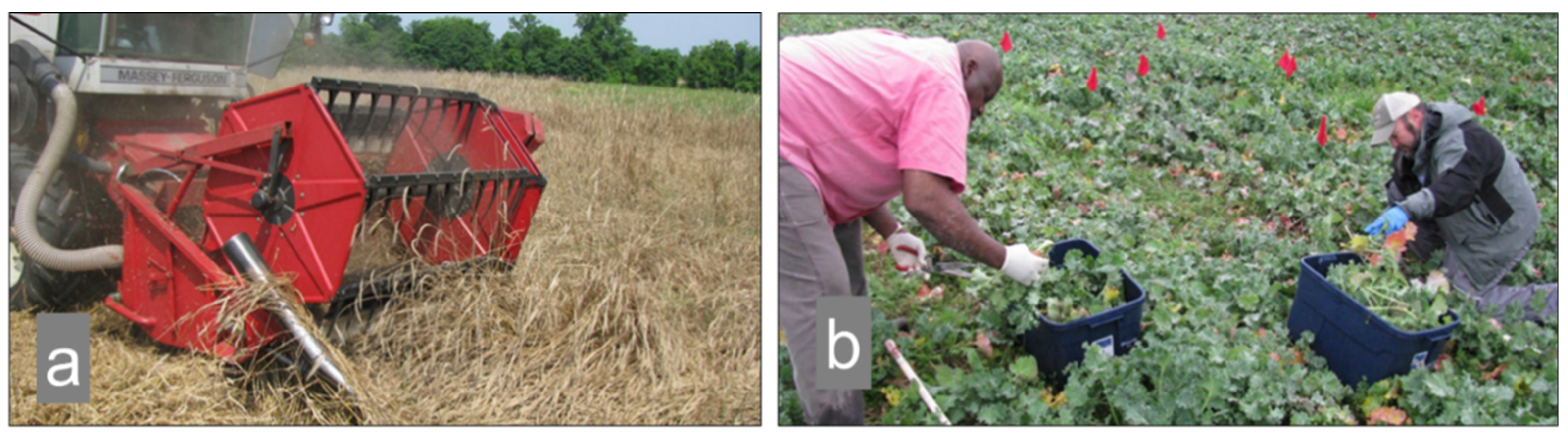 Agronomy 10 01913 g005