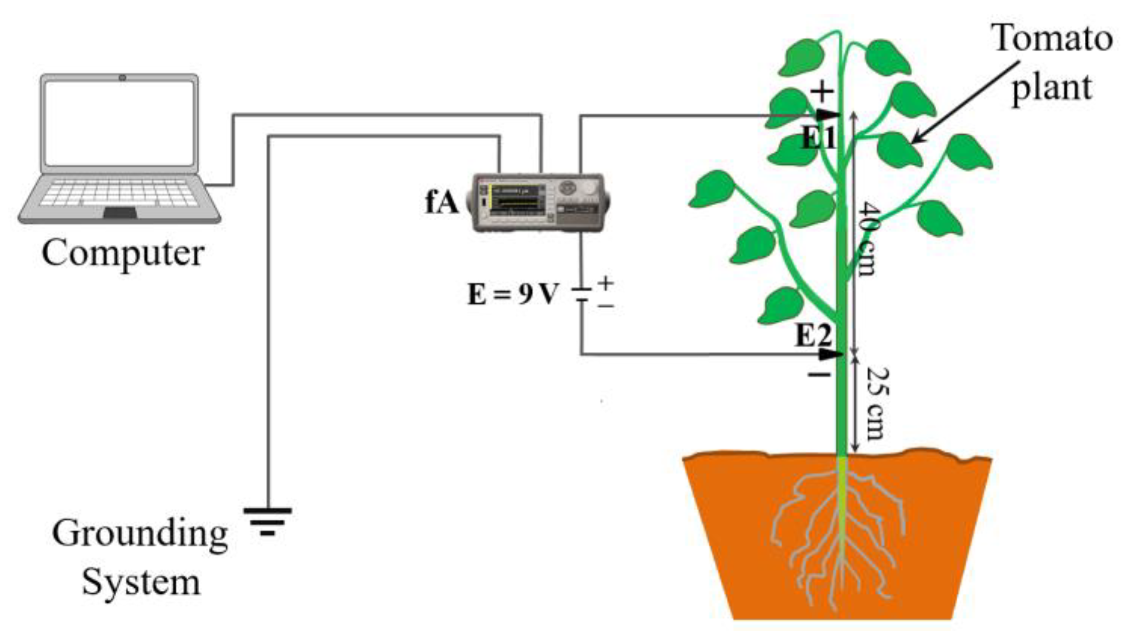 Agronomy 10 01915 g001