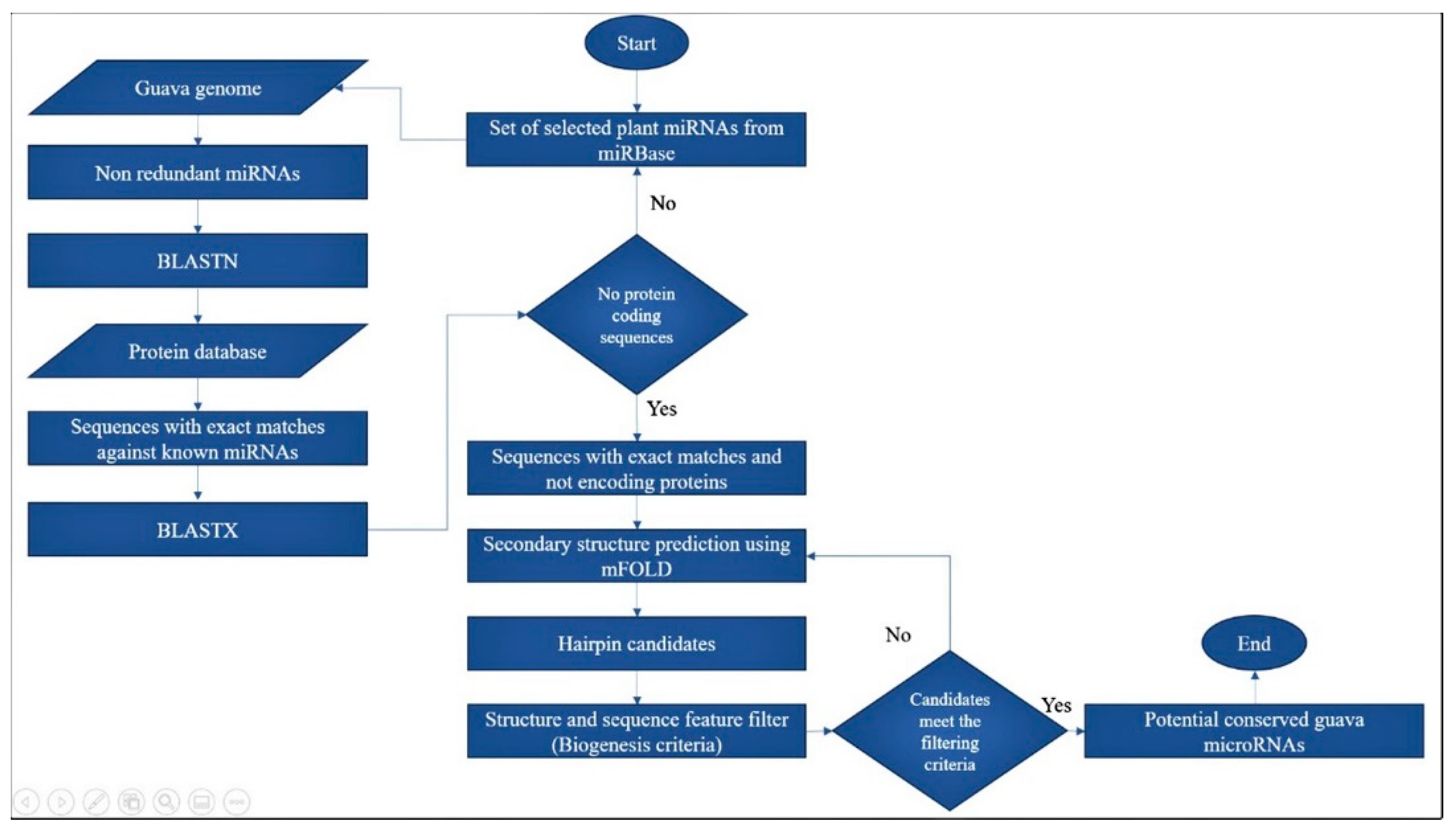 Agronomy 10 01920 g001