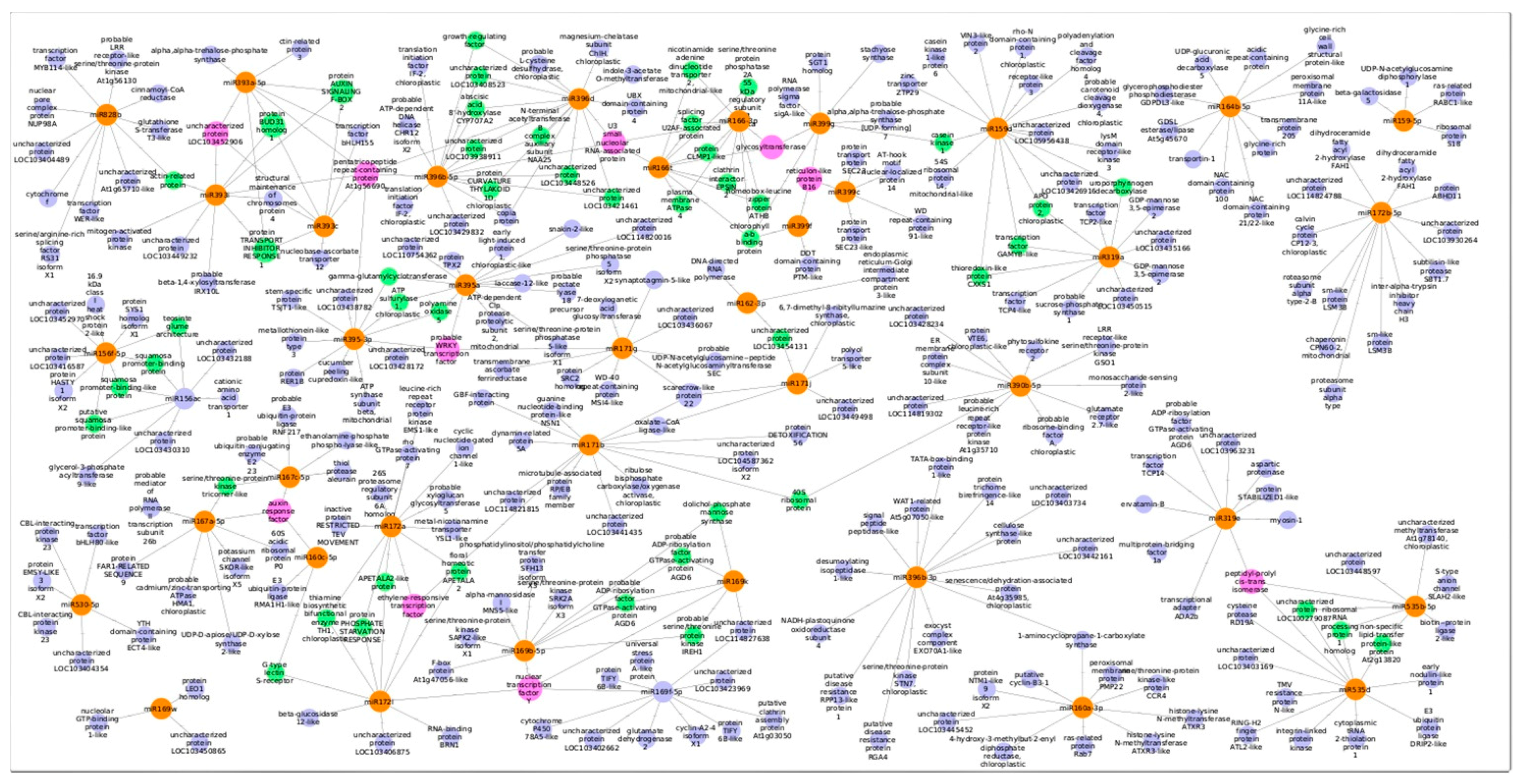 Agronomy 10 01920 g009