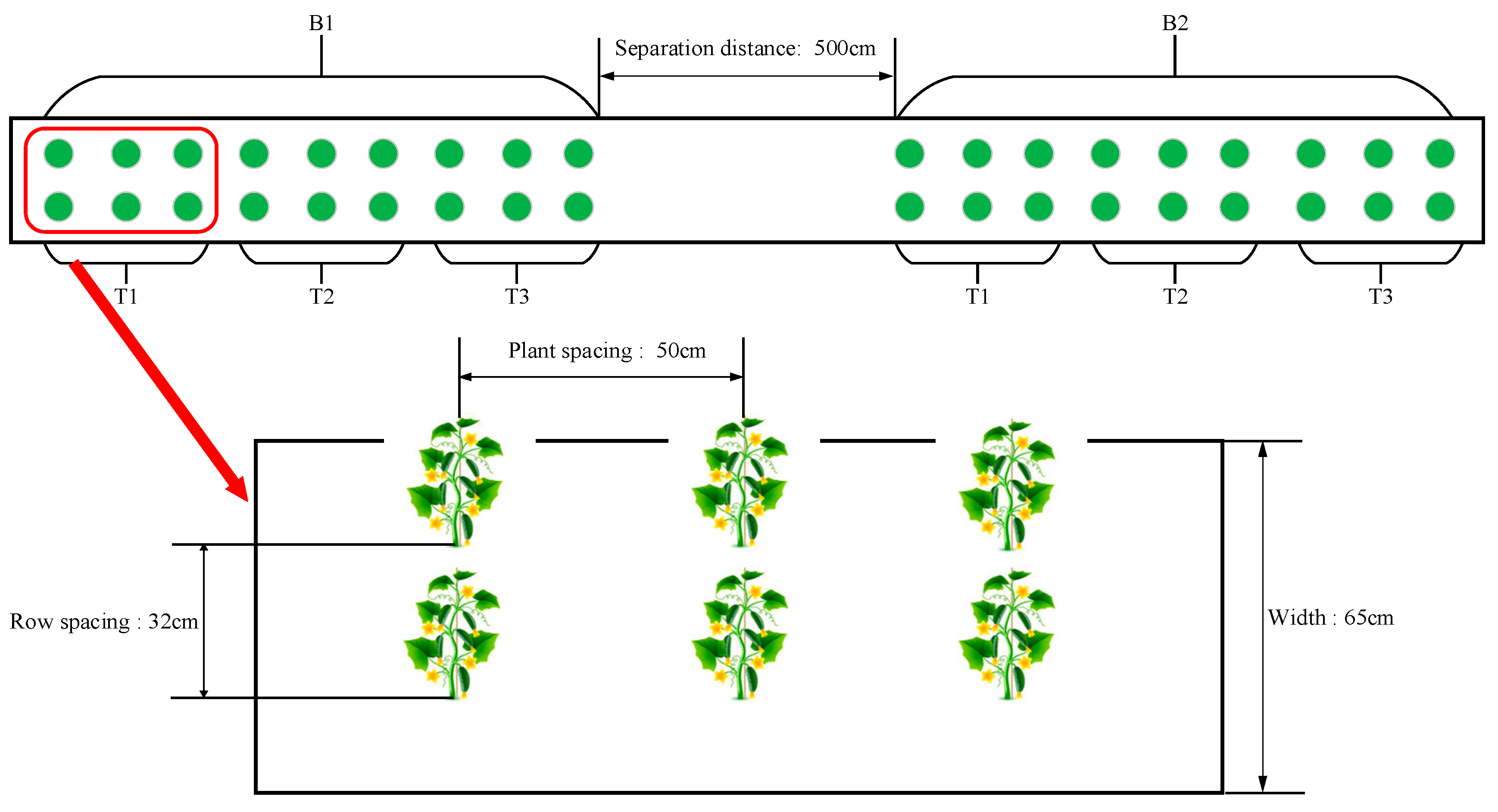 Agronomy 10 01921 g001 Agronomy 10 01921 g001