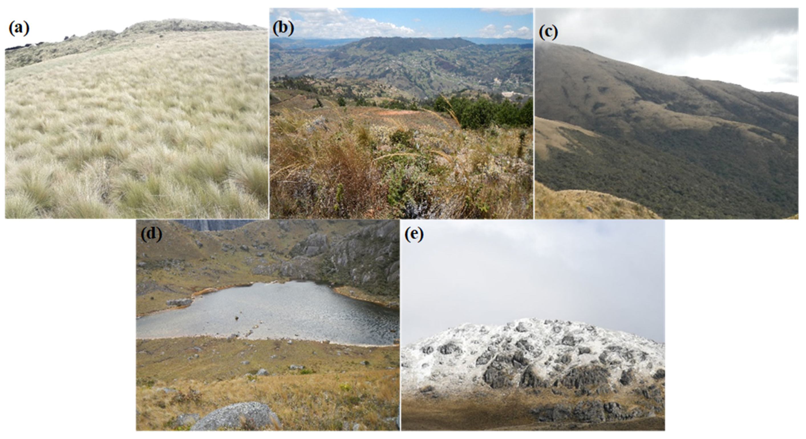 Agronomy 10 01922 g003 Agronomy 10 01922 g003