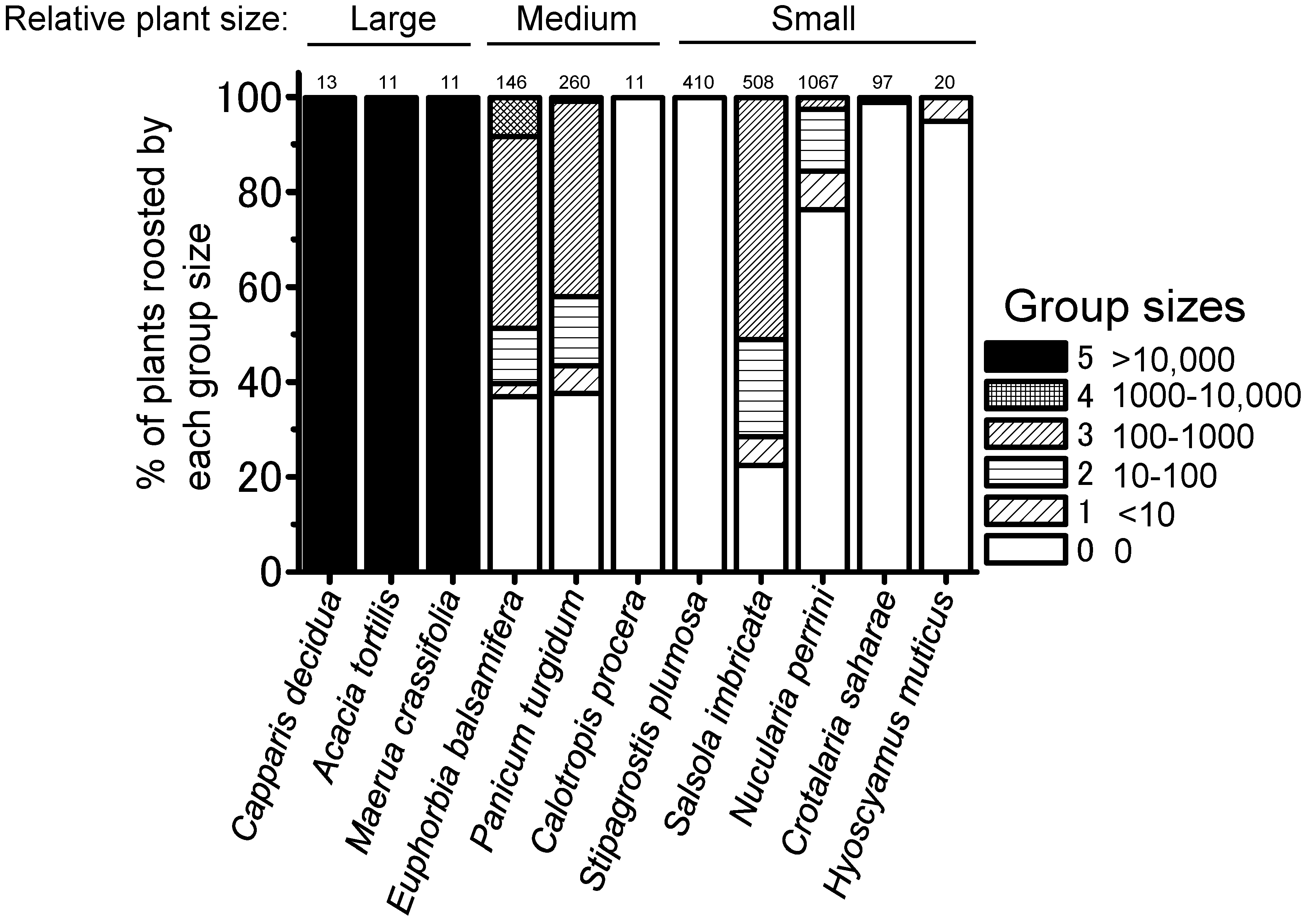 Agronomy 10 01923 g004 Agronomy 10 01923 g004