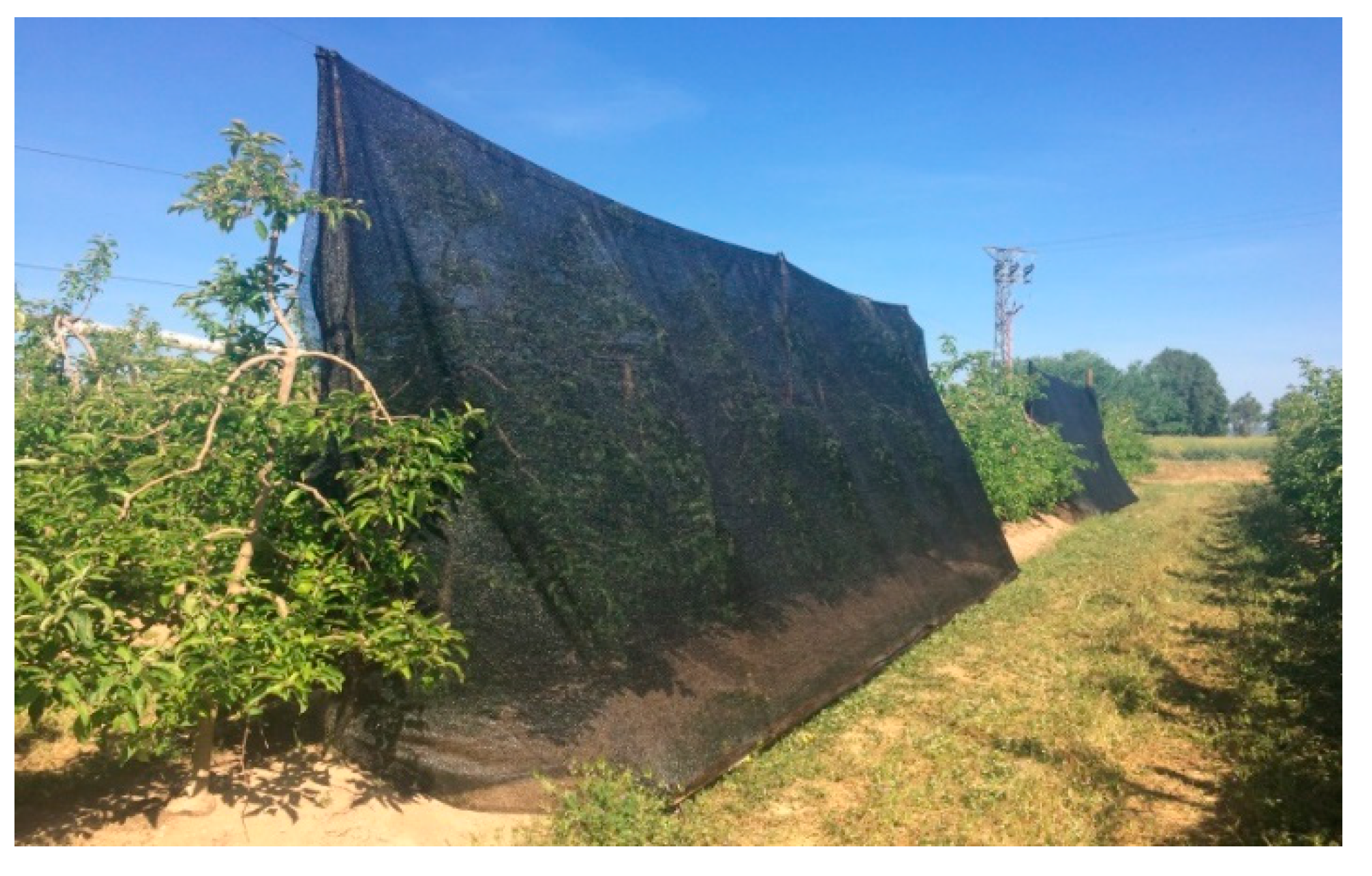 Agronomy 10 01924 g001