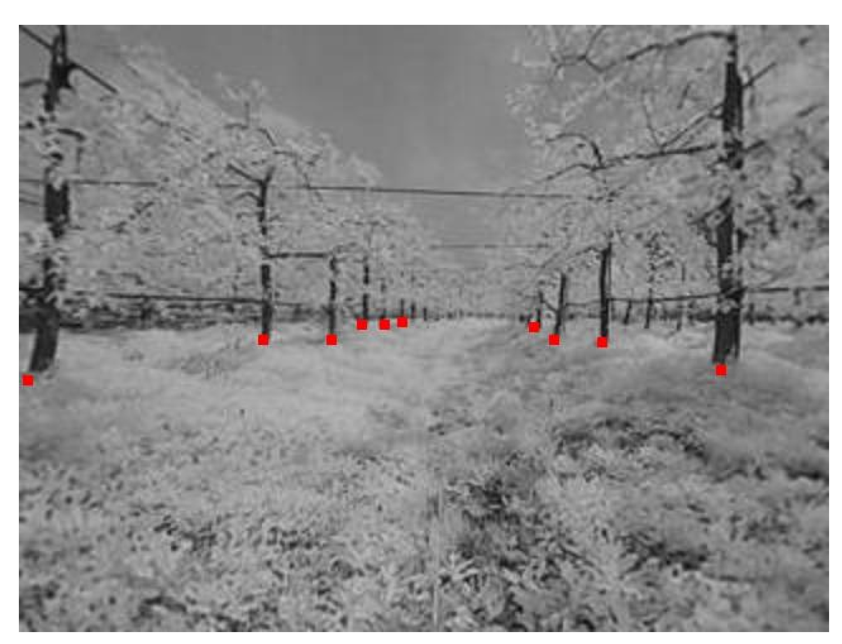 Agronomy 10 01926 g006 Agronomy 10 01926 g006