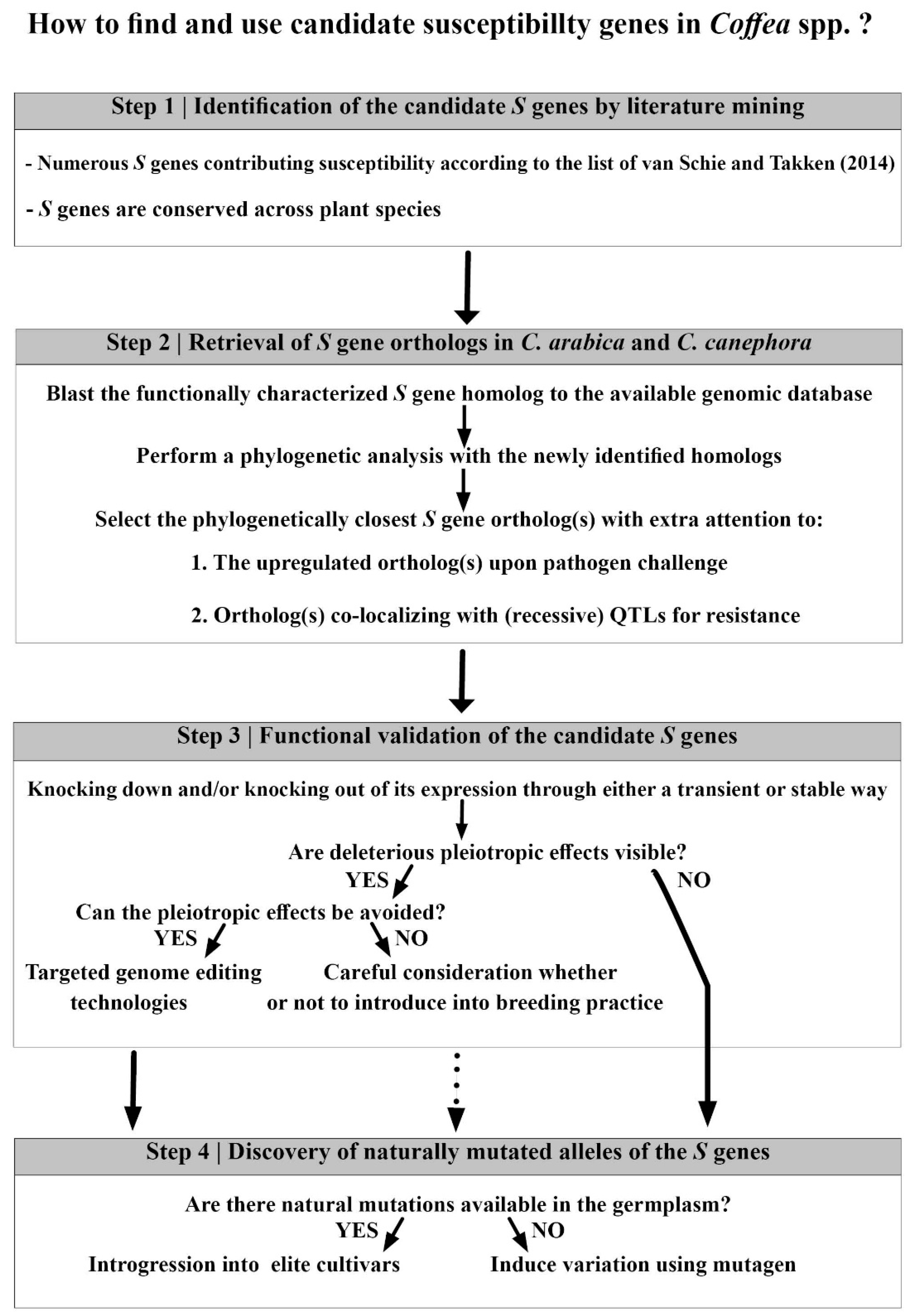 Agronomy 10 01928 g002 Agronomy 10 01928 g002