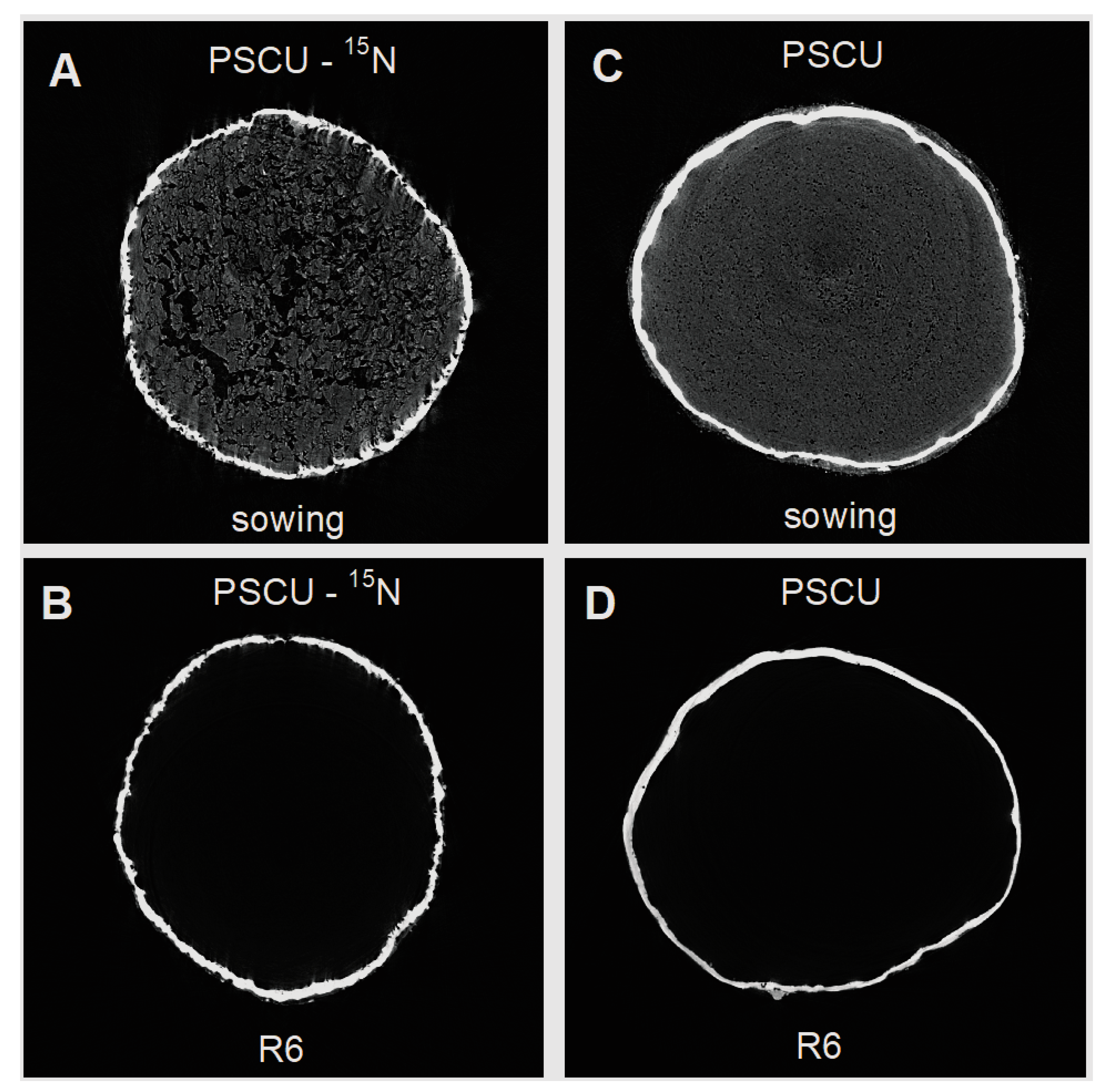 Agronomy 10 01932 g001