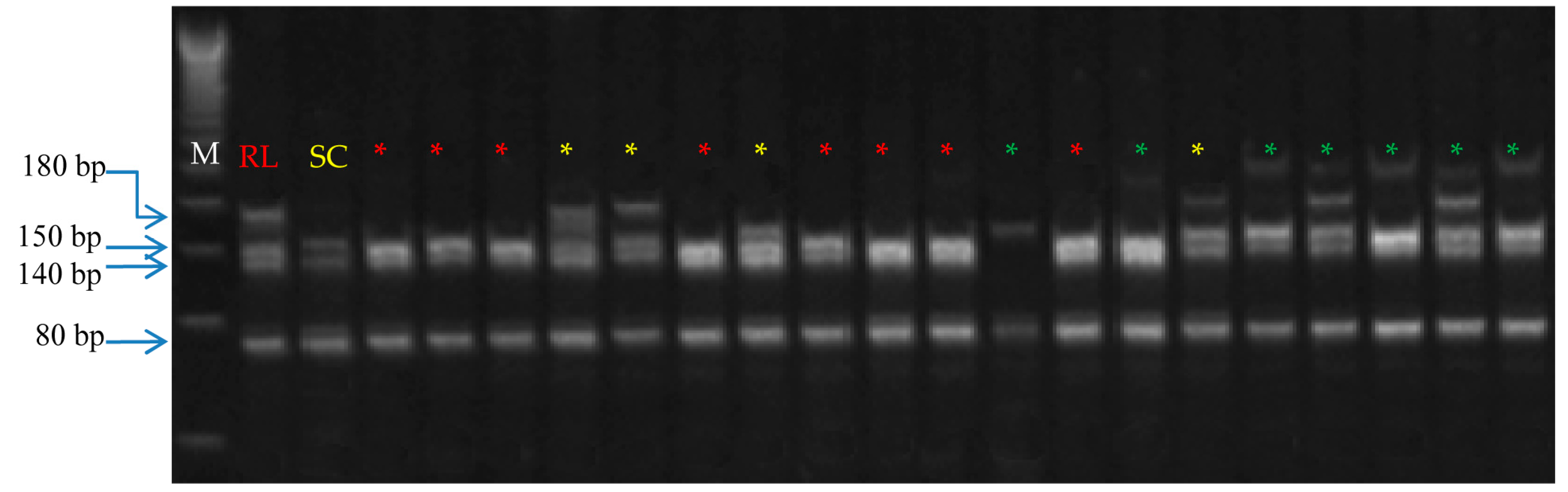 Agronomy 10 01940 g005 Agronomy 10 01940 g005