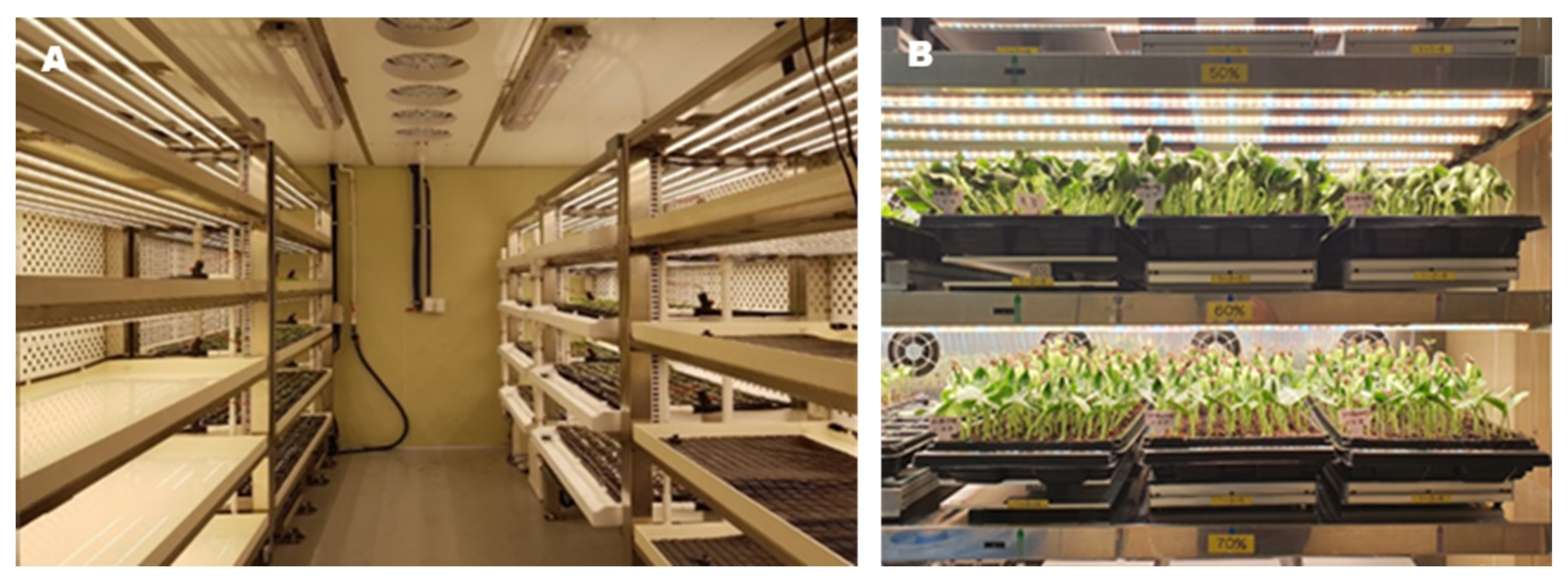 Agronomy 10 01943 g001