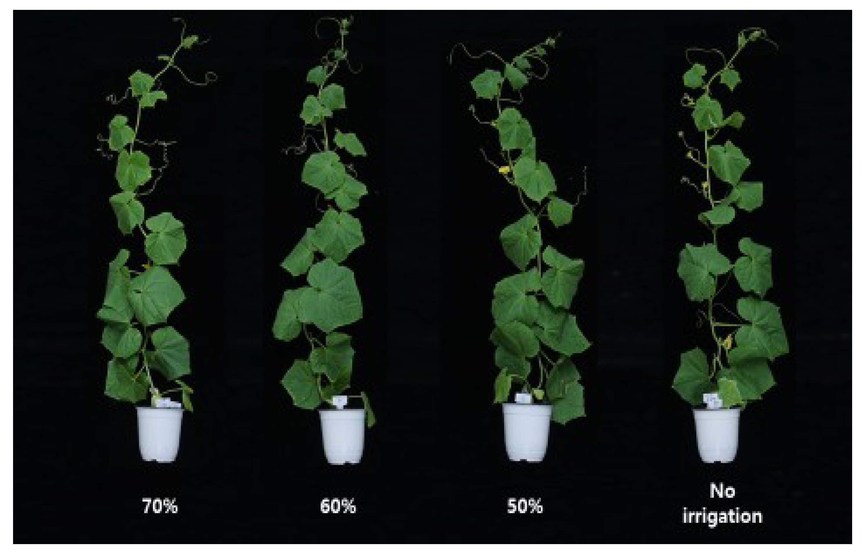 Agronomy 10 01943 g006