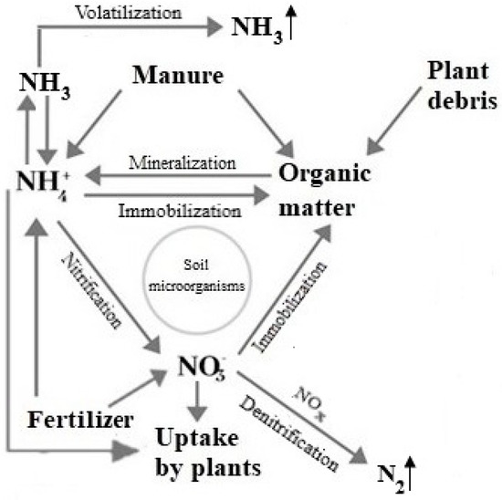 Agronomy Free Full Text Environmental Factors Affecting The Mineralization Of Crop Residues Html