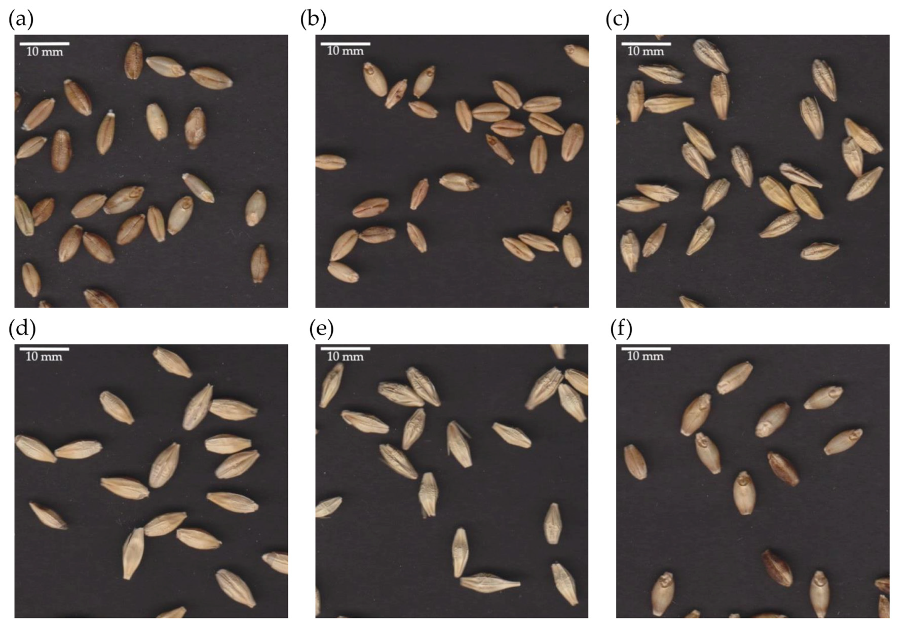 Agronomy 10 01958 g001 Agronomy 10 01958 g001