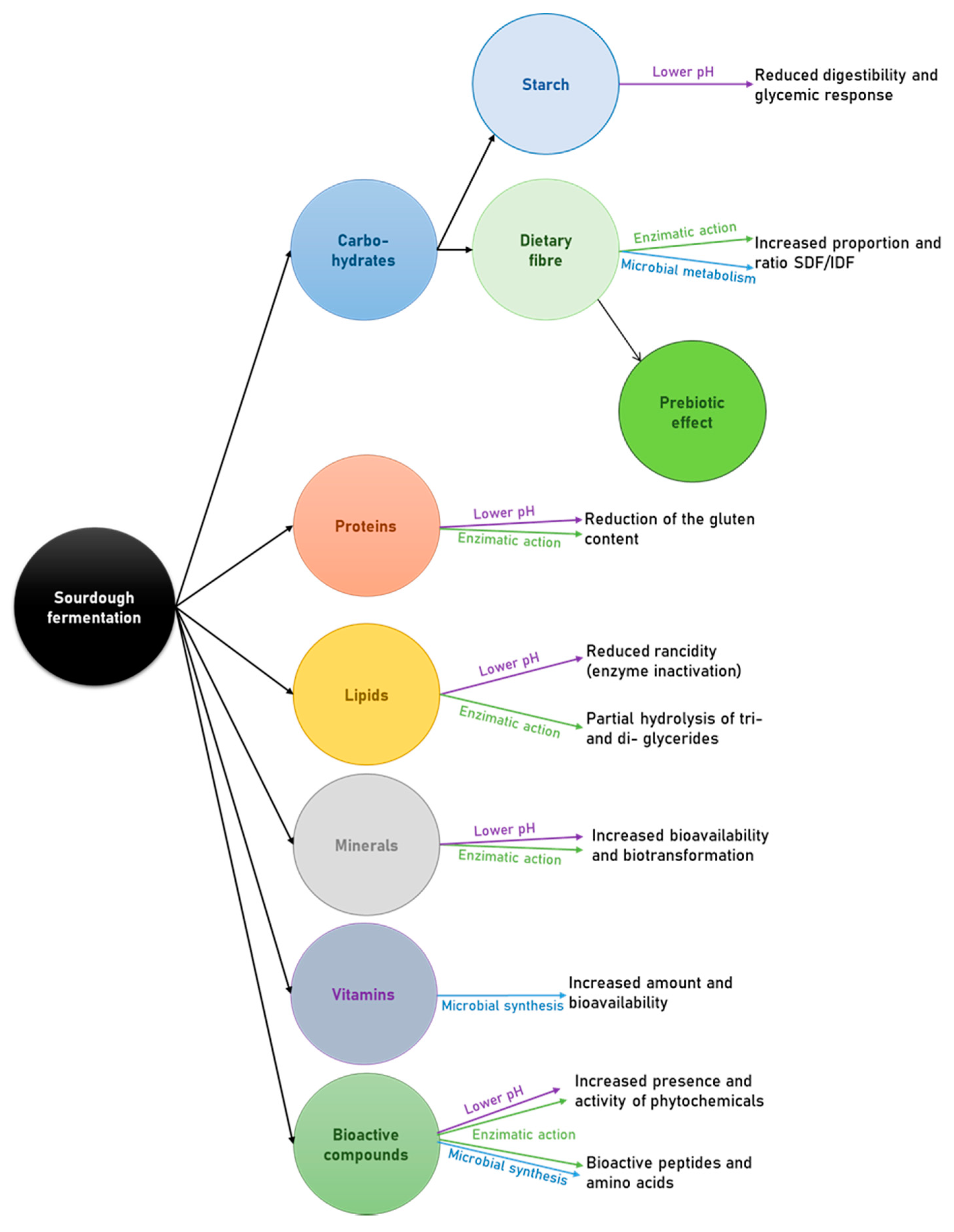 Agronomy 10 01962 g002 Agronomy 10 01962 g002