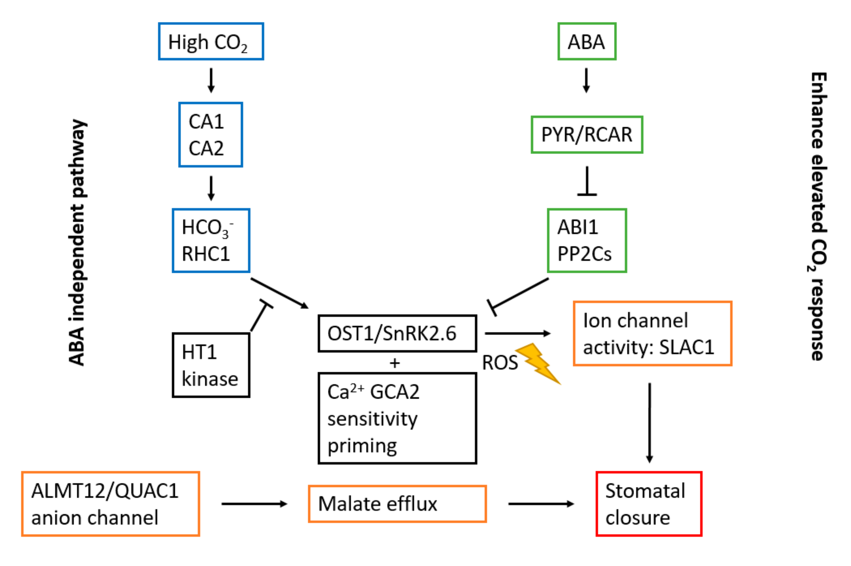 Agronomy 10 01975 g005