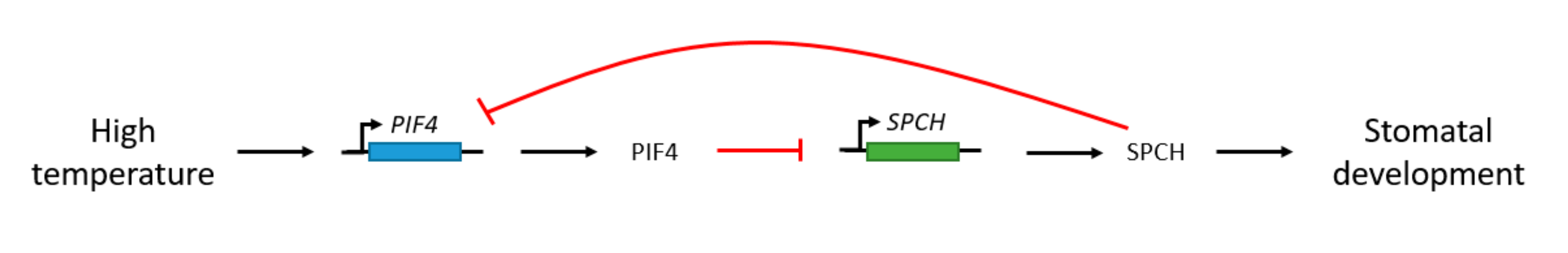Agronomy 10 01975 g006