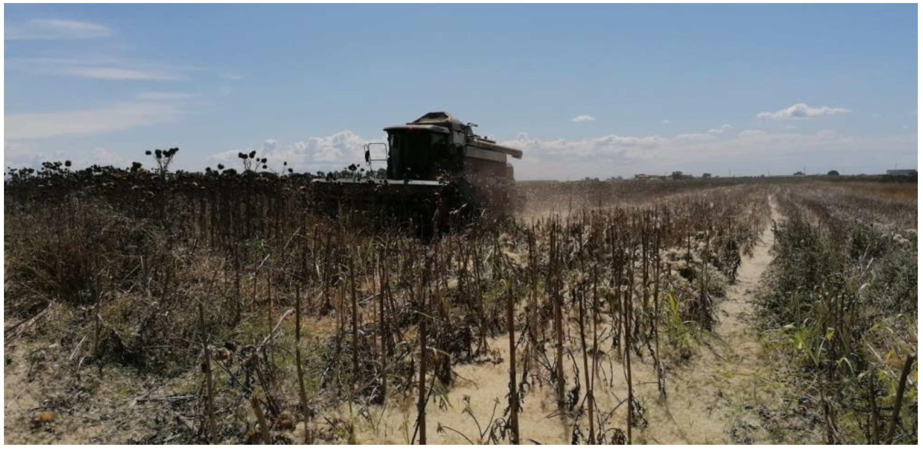 Agronomy 10 01981 g002 Agronomy 10 01981 g002