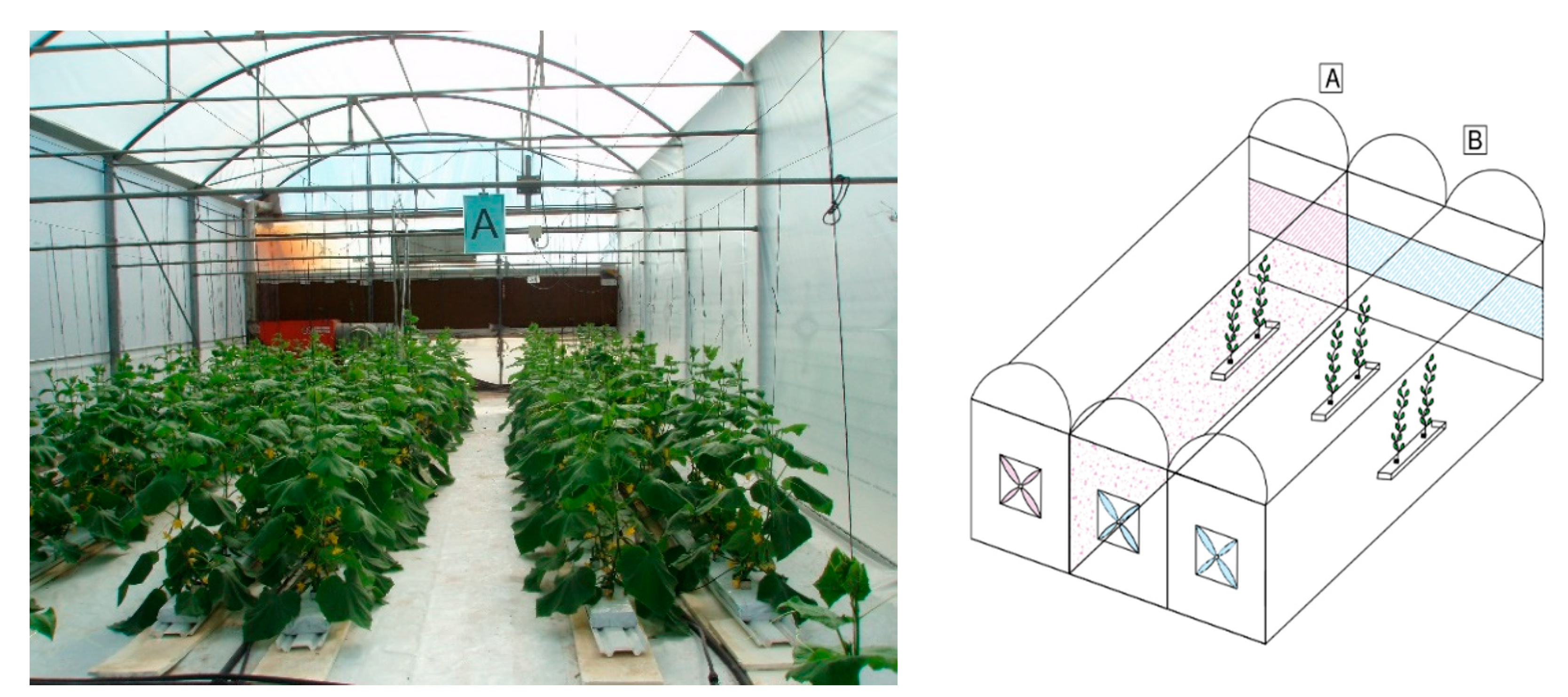 Agronomy 10 01985 g001 Agronomy 10 01985 g001