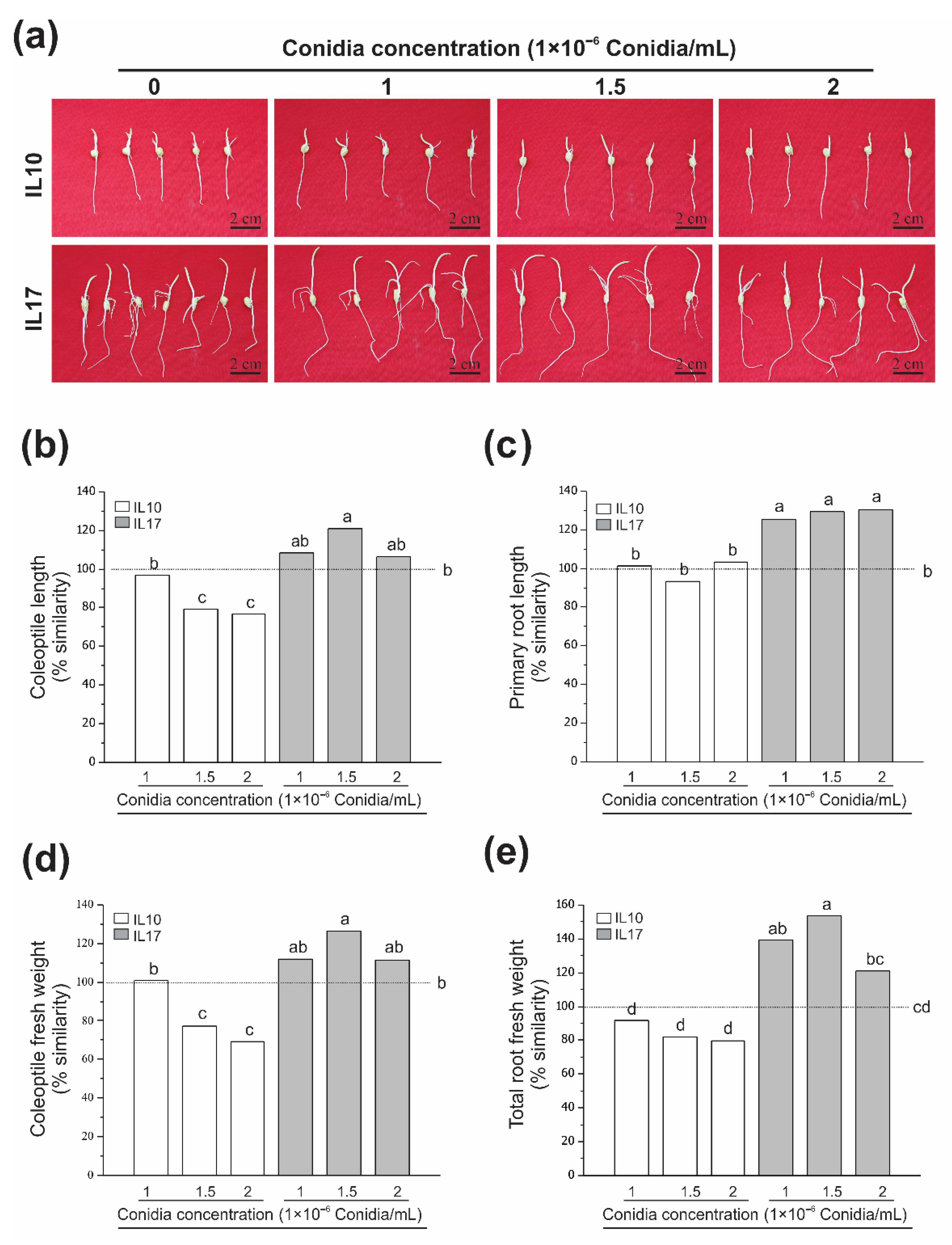 Agronomy 10 01990 g001
