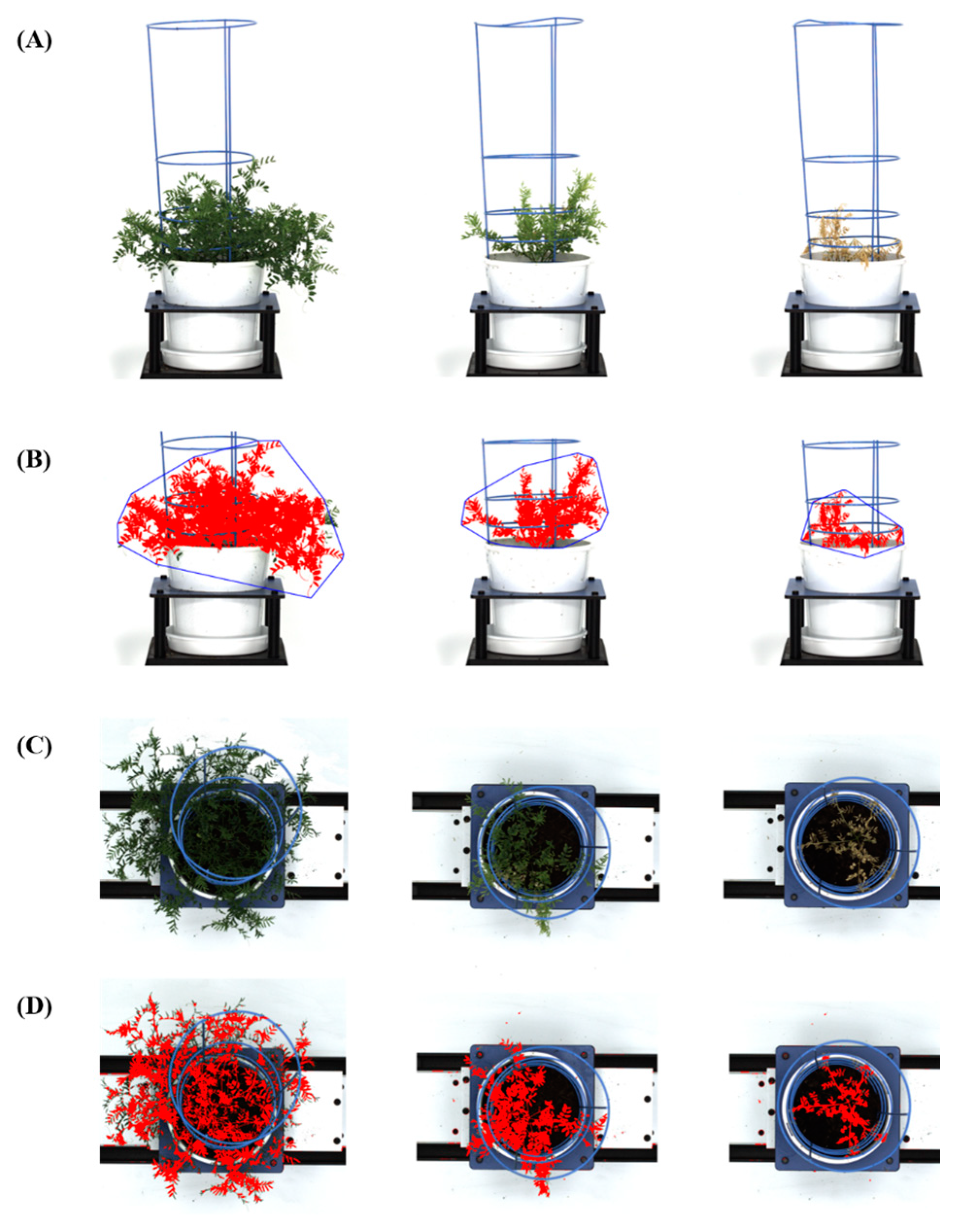 Agronomy 10 01992 g008 Agronomy 10 01992 g008
