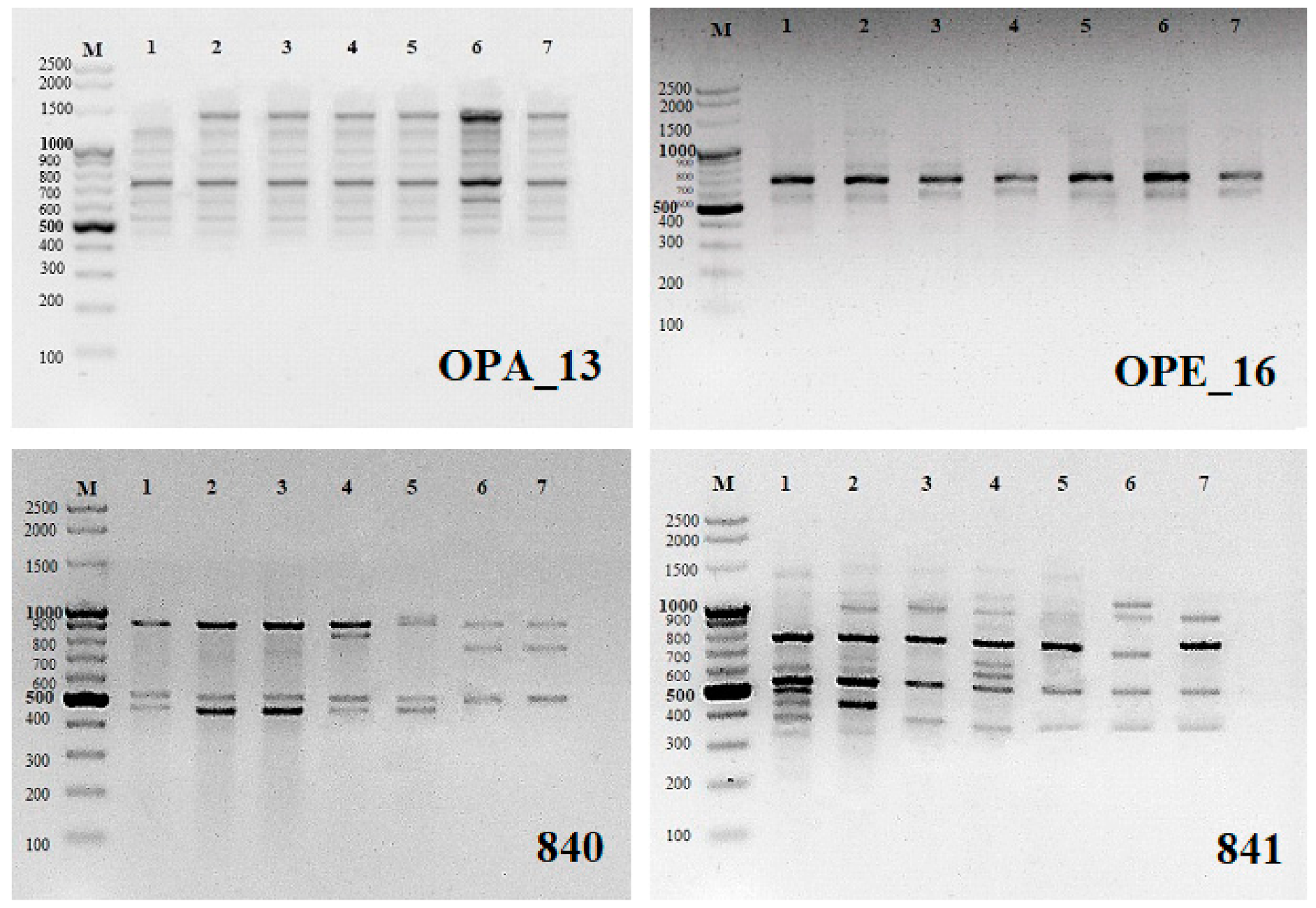 Agronomy 10 01994 g001
