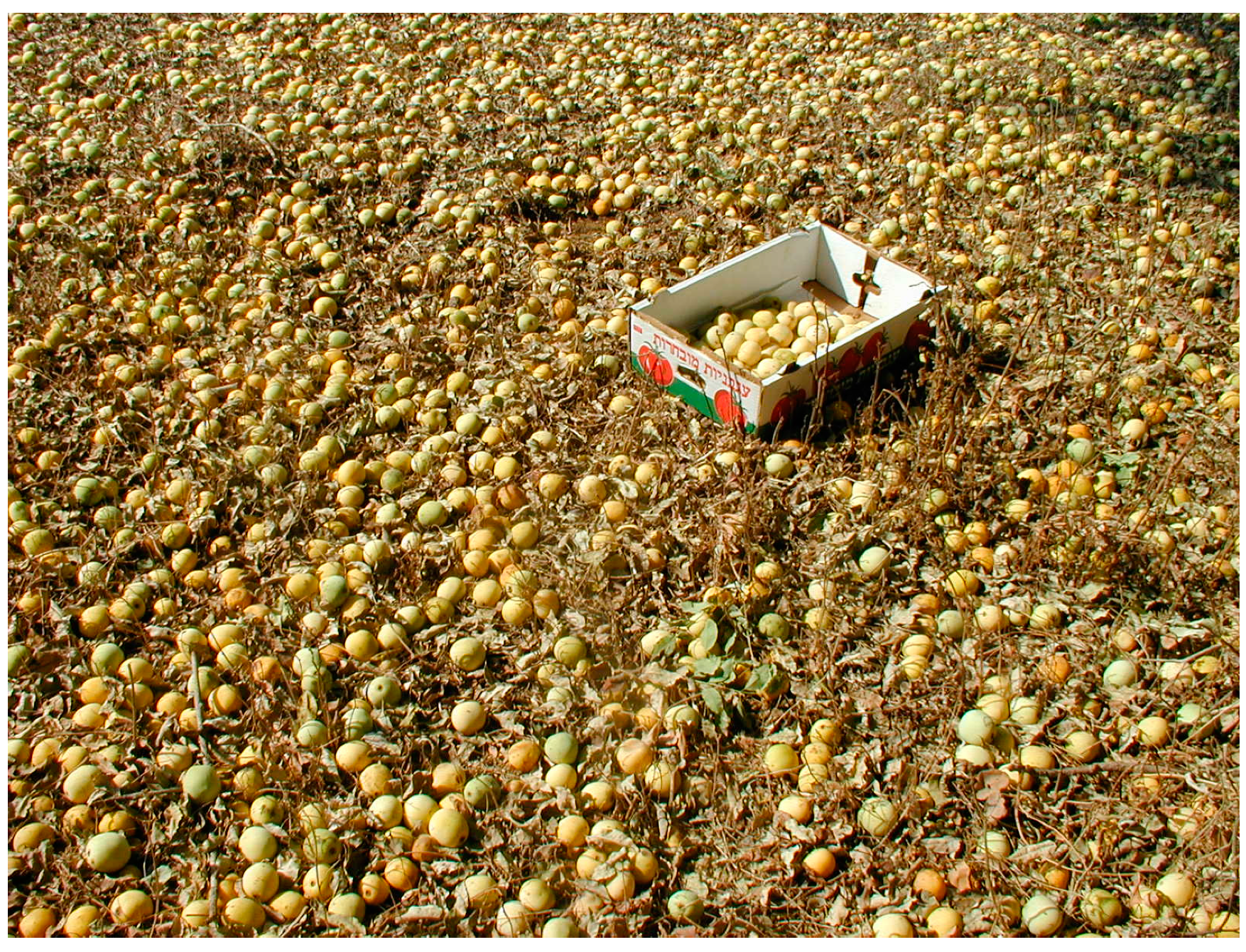 Agronomy 10 01995 g004