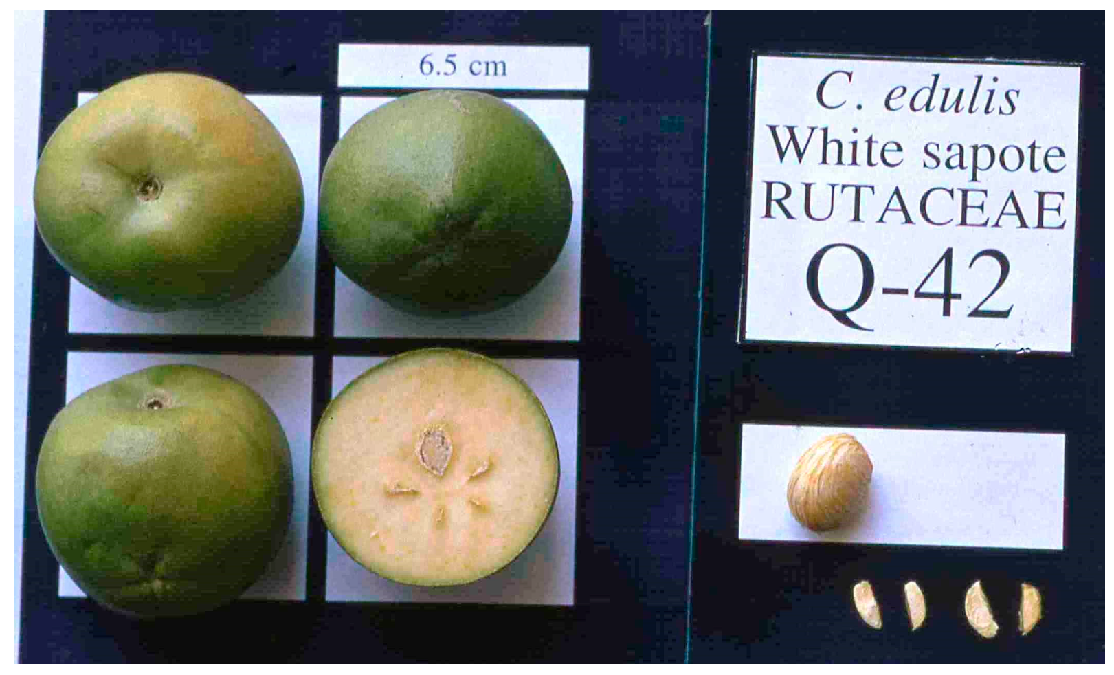 Agronomy 10 01995 g005