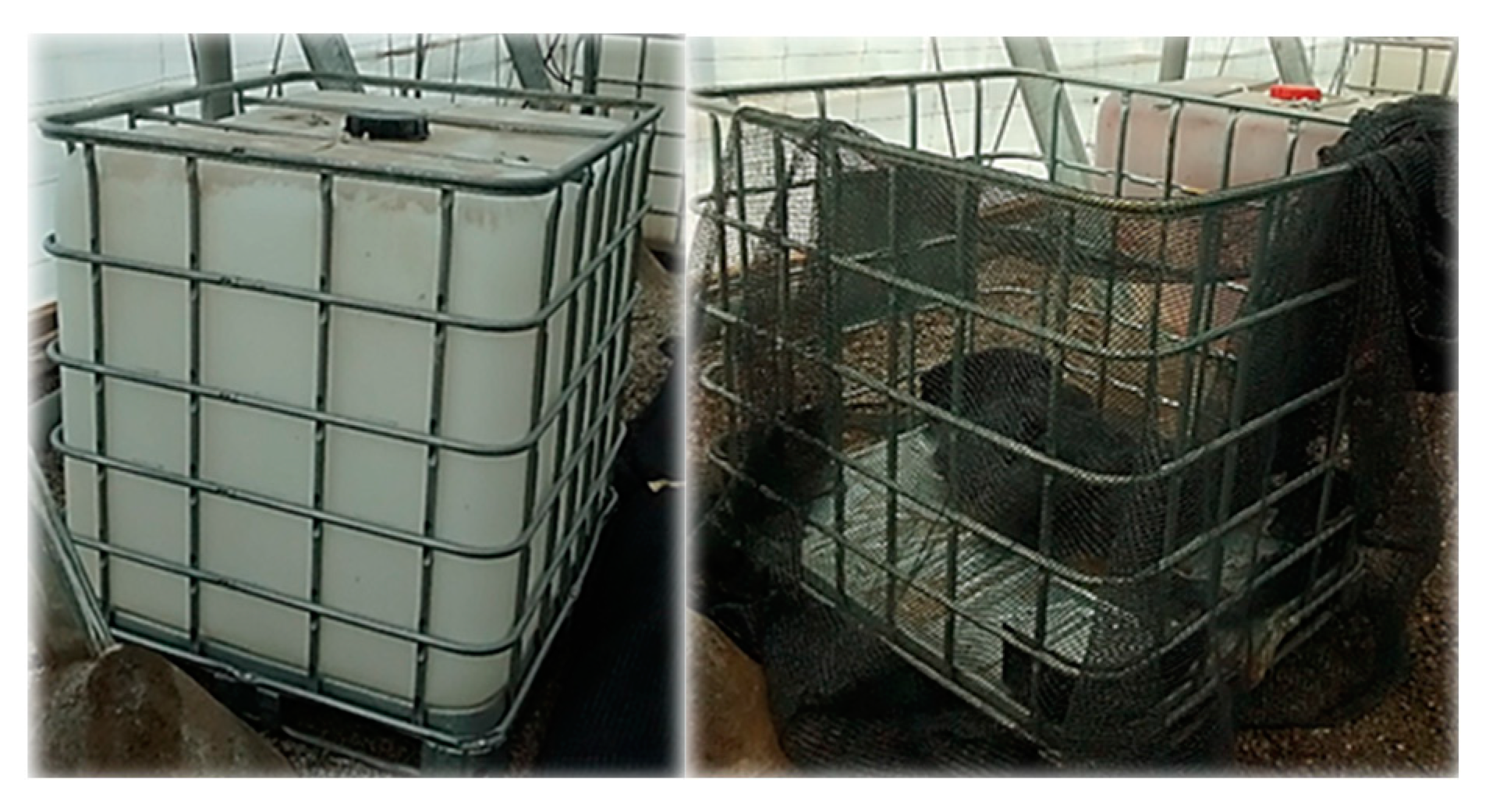 Agronomy 10 02001 g001